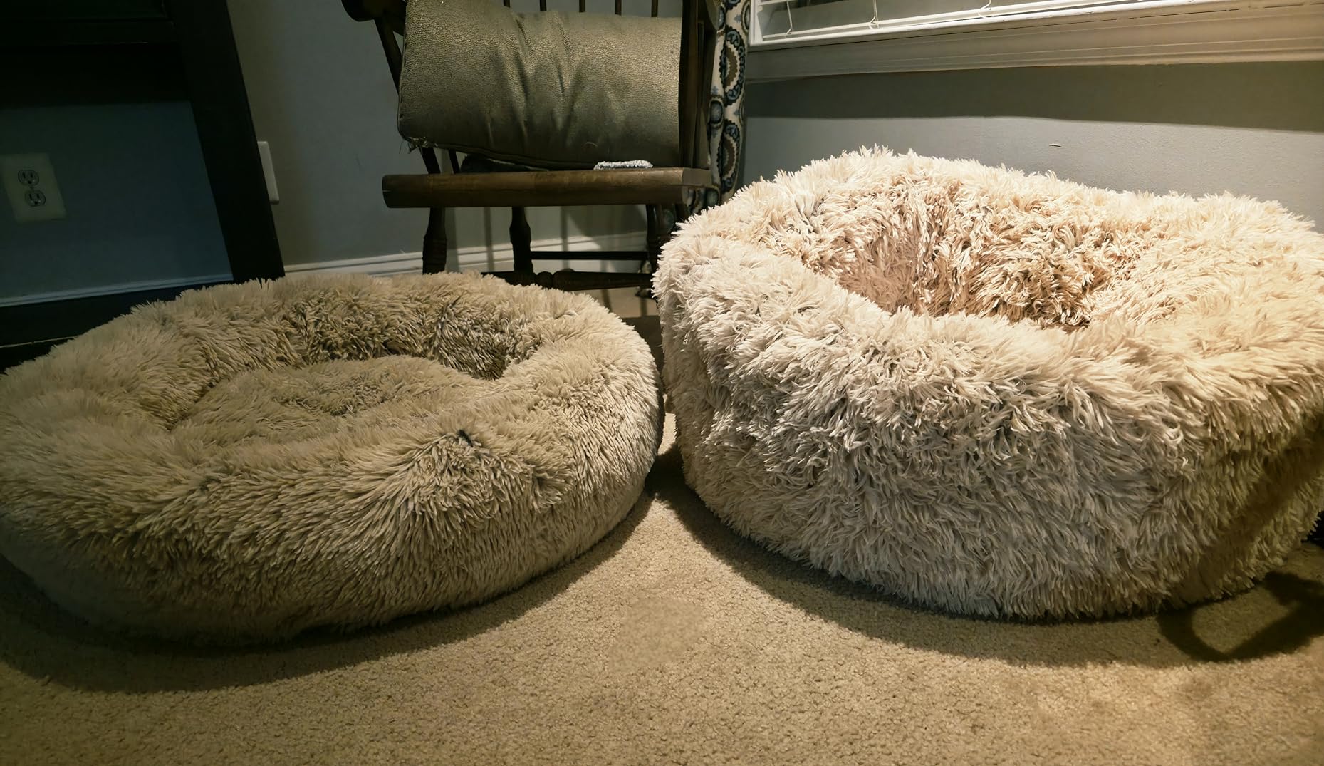 FurHaven 23