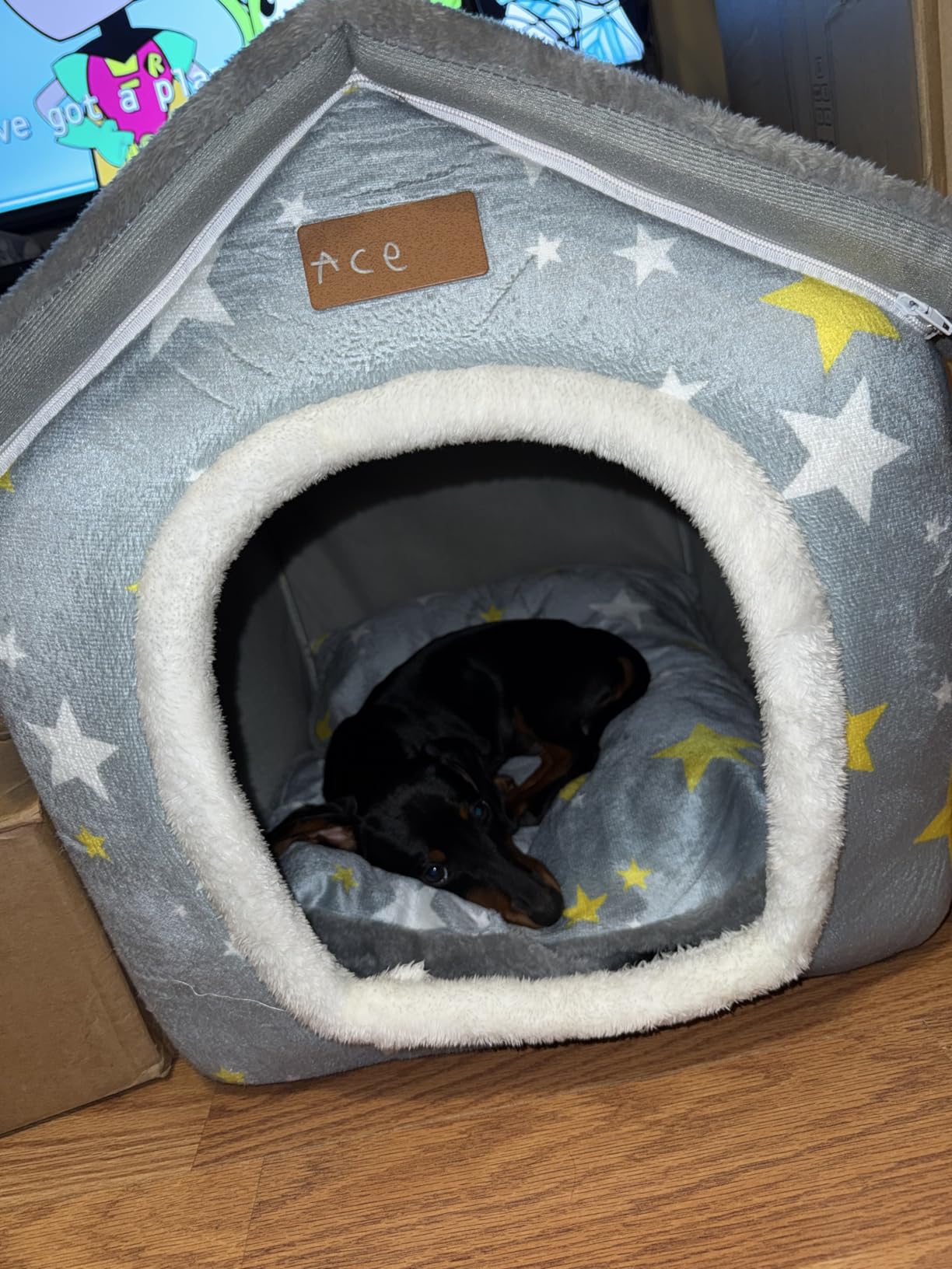 BXEBUI Dog House Indoor Memory Sponge, Foldable Dog House Kennel Bed Mat with Cushion for Small Medium Large Dogs Cats, Winter Warm Cat Nest Puppy Cave Sofa Pet Products (Small) customer photo 2