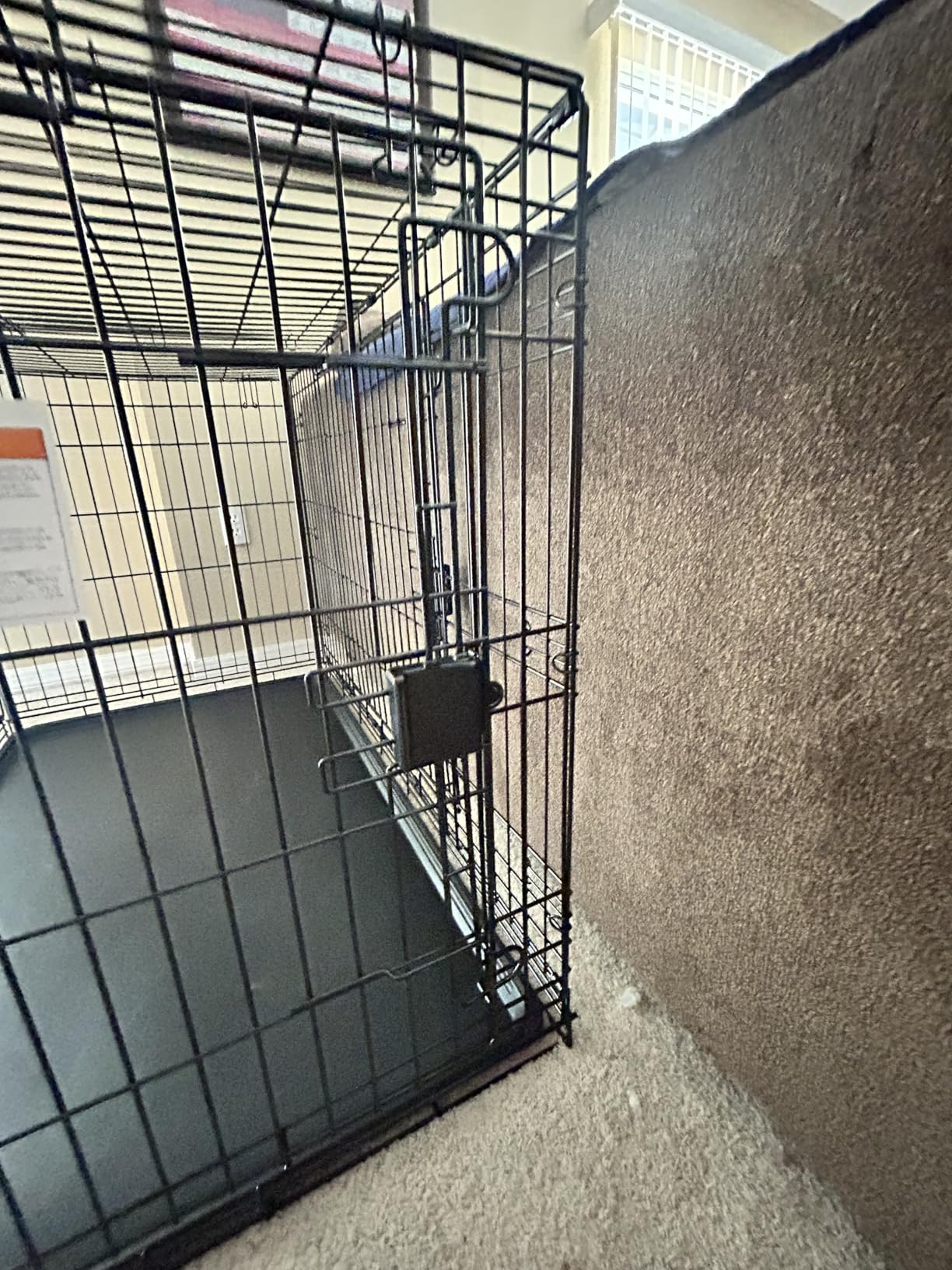 Amazon Basics Portable, Collapsible Metal Wire Dog Crate with Removable Tray, Double Door, Easy to Assemble, Divider Panel for Large Dogs, 42