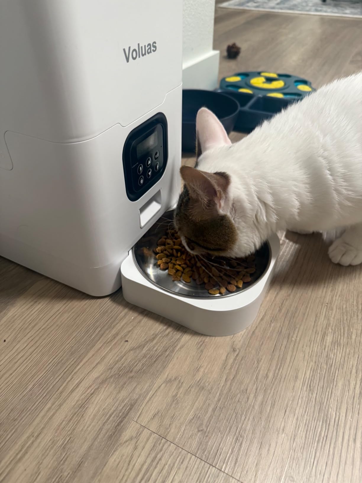 VOLUAS Automatic Cat Feeders - Timed Pet Feeder for Cats and Dogs with Dry Food Dispenser, Desiccant Bag, Programmable Portion Control, 4 Daily Meals, 10s Voice Recorder customer photo 1
