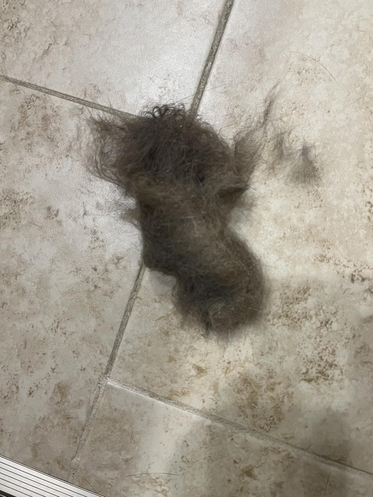 Aumuca Skin Friendly Self-Cleaning Slicker Brush for Dogs & Cats, Gentle Pet Grooming Tool for Shedding & Deshedding, Efficient Hair Remover for Long & Short Haired Pets customer photo 1