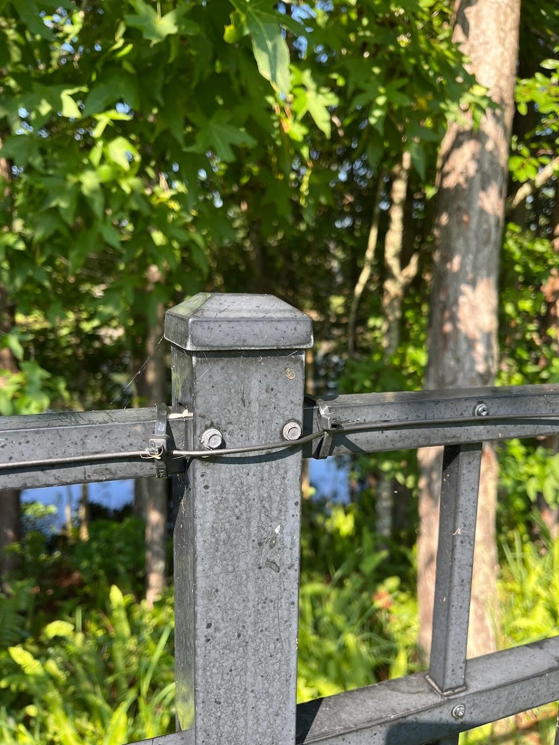 PetSafe PetSafeClassic In-Ground Fence for Dogs and Cats - from the Parent Company of Invisible Fence Brand - Includes 500 ft of Wire - Expandable Coverage up to 5 Acres customer photo 2