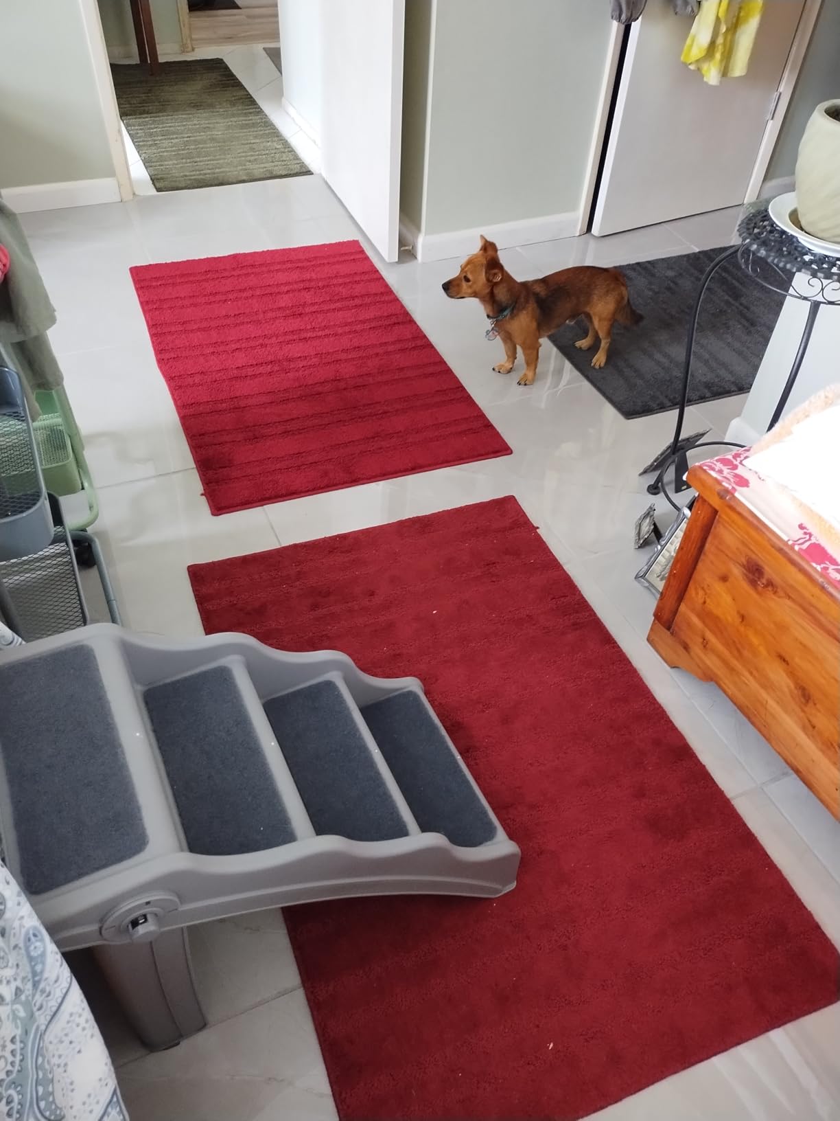 Amazon Basics Foldable Non-Slip Pet Stairs for Small Dogs and Cats, Senior Pets, Easy to Climb, Grey customer photo 2
