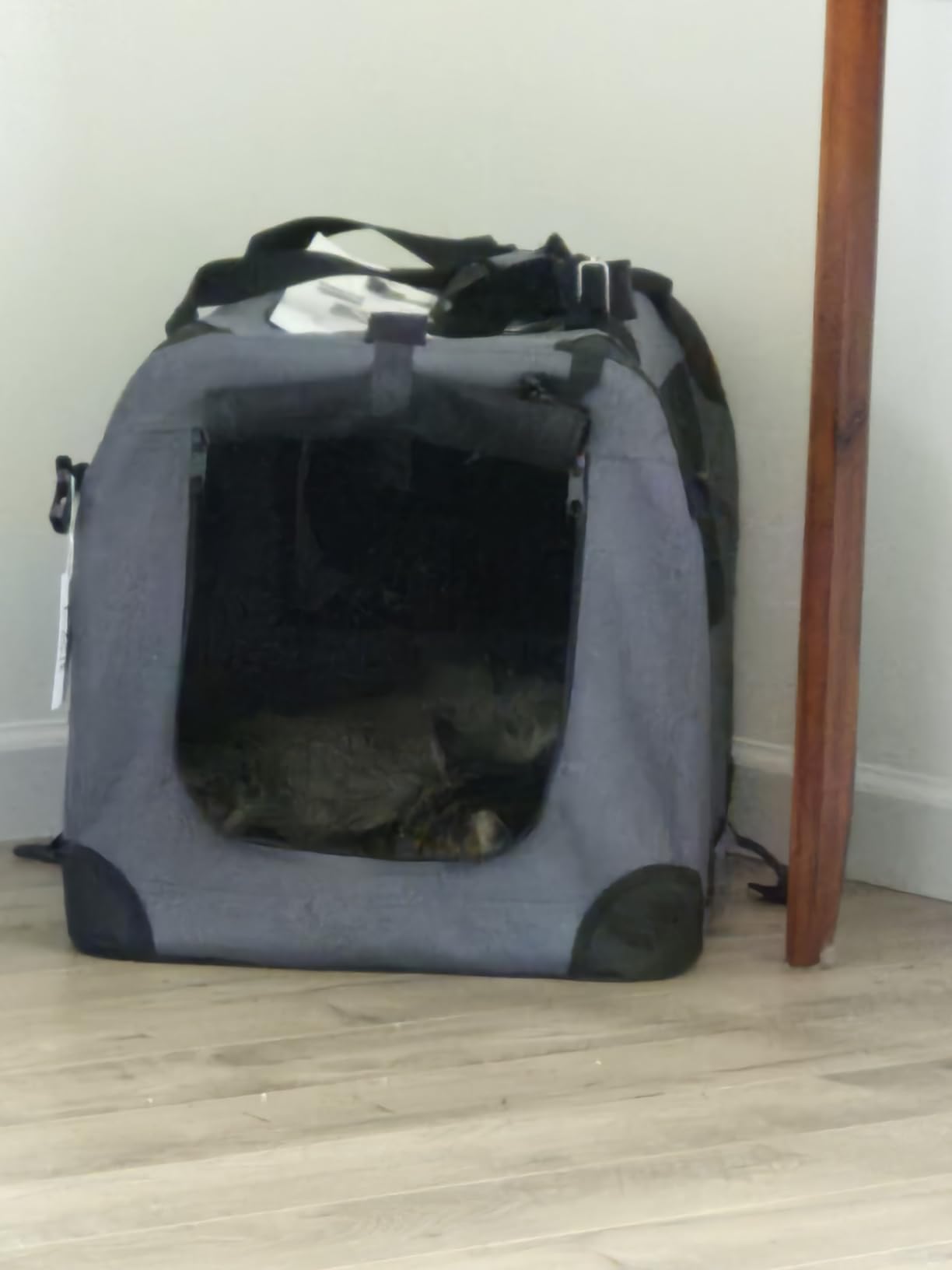 Prutapet Large Cat Carrier 24