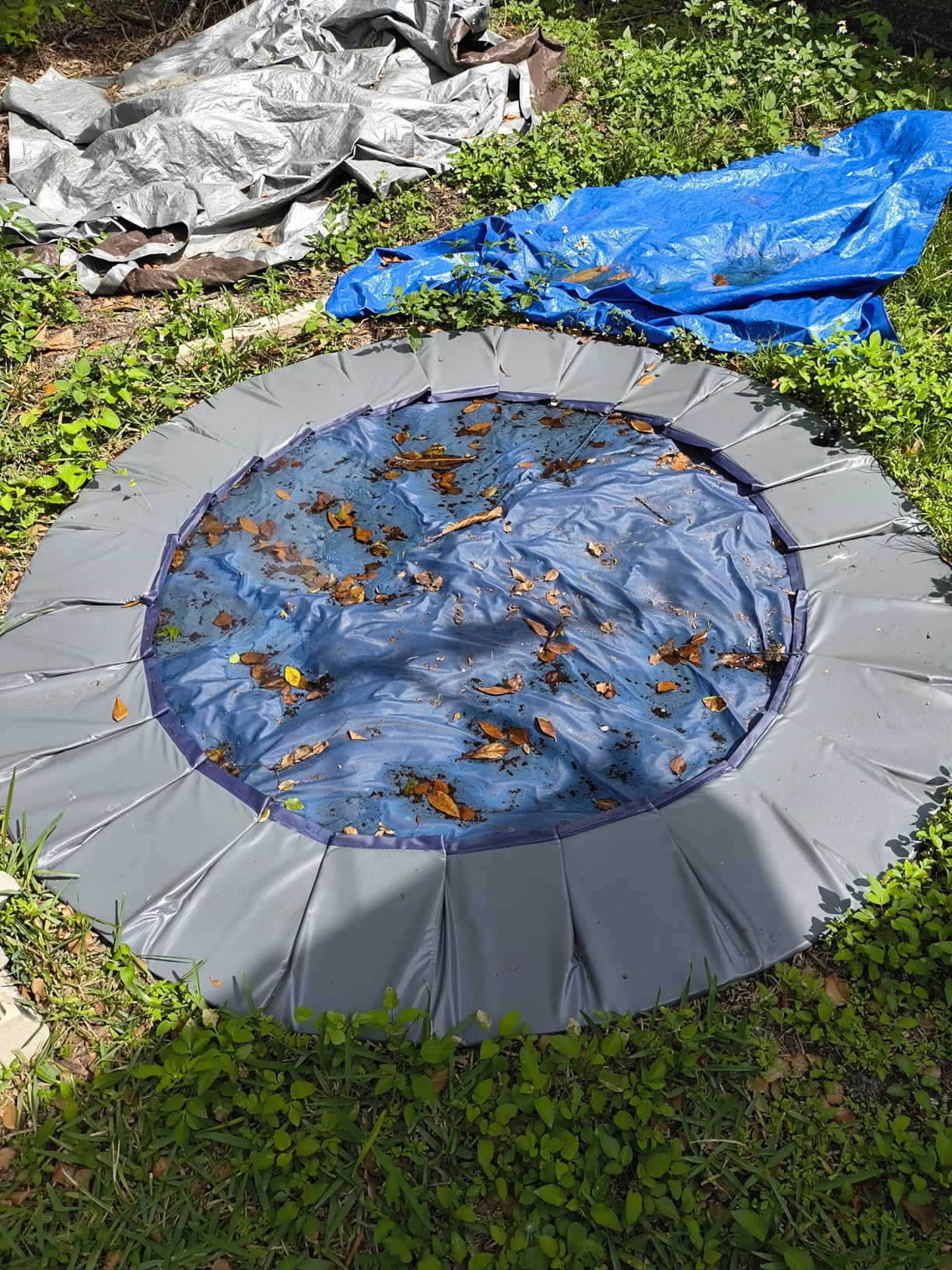 Niubya Foldable Dog Swimming Pool, Collapsible Hard Plastic, Portable Bath Tub for Pets Dogs and Cats, Pet Wading Pool for Indoor and Outdoor, 72 x 12 Inches customer photo 1