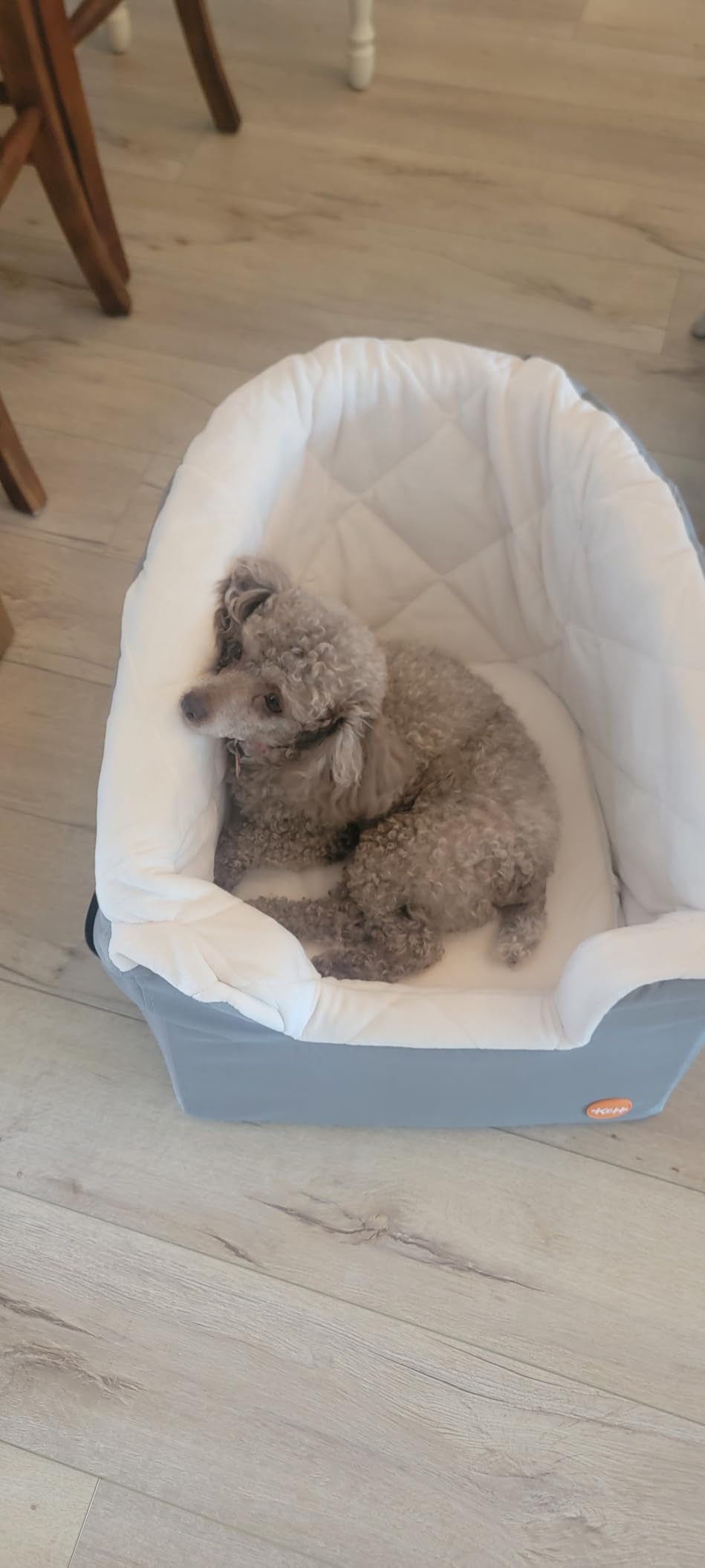 K&H Pet Products Bucket Booster Dog Car Seat, Seat Belt Secured, 2 Safety Leashes, Washable Covers, Sturdy Dog & Cat Booster Seat, Carriers for Small to Medium Pets - Large Gray/Cream customer photo 1
