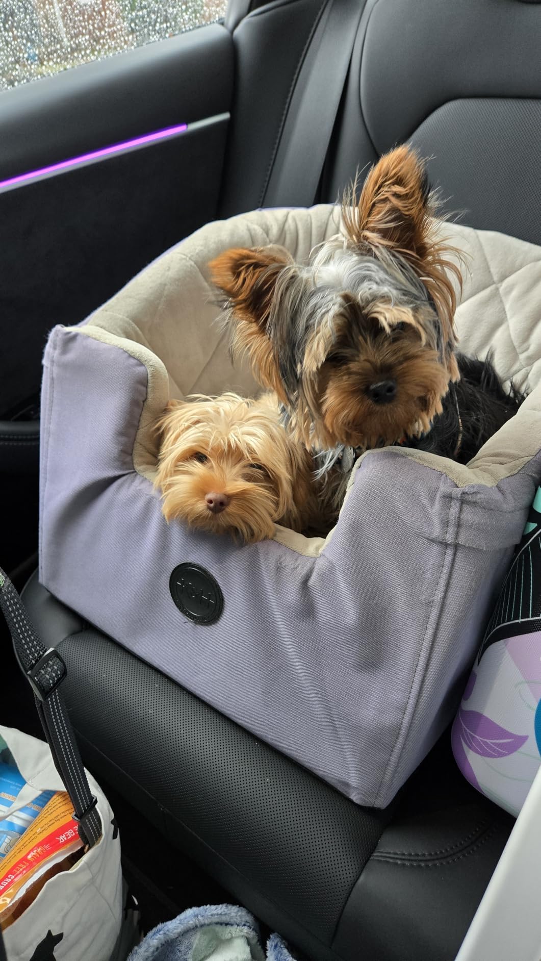 K&H Pet Products Bucket Booster Dog Car Seat, Seat Belt Secured, 2 Safety Leashes, Washable Covers, Sturdy Dog & Cat Booster Seat, Carriers for Small to Medium Pets - Large Gray/Cream customer photo 2