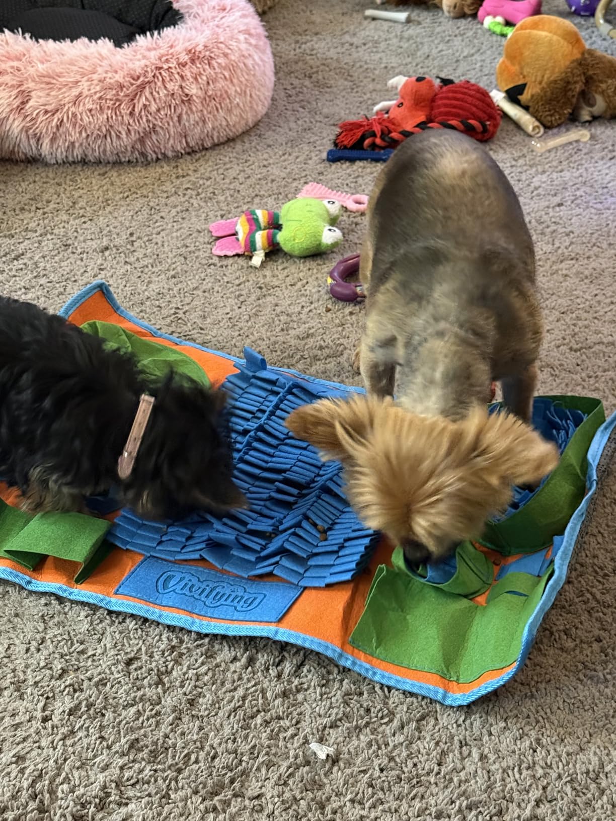 Vivifying Snuffle Mat for Dogs, Interactive Dog Puzzle Toy for Boredom and Mental Stimulation, Enrichment Feeding Game Sniff Mat Helps Slow Eating and Keep Busy customer photo 1