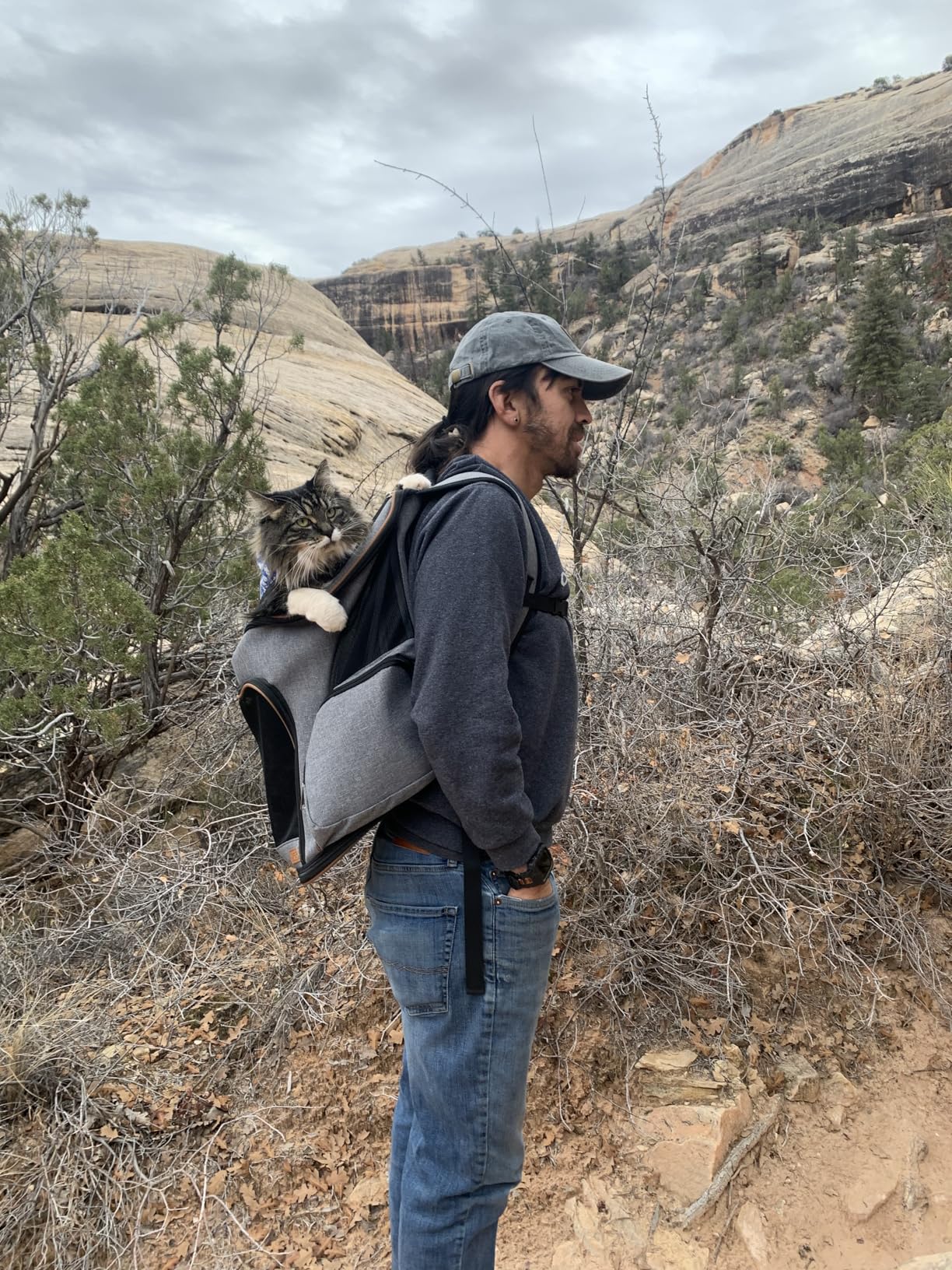 Lekereise Pet Carrier Backpack Expandable Cat Backpack for Medium Dogs and Large Cats 20-25 Lbs customer photo 2