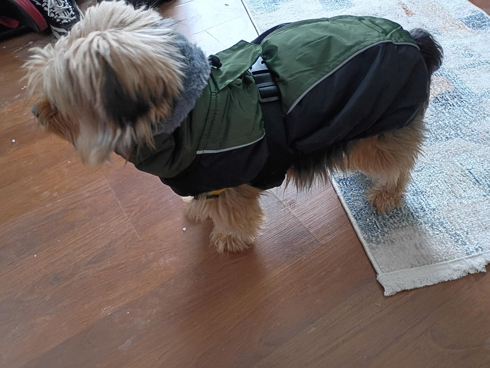 IECOii Extra Warm Dog Coat - Reflective Adjustable Jacket With Buckle Fleece Turtleneck for Cold Weather - Soft Winter Coat for Small Medium Extra Large Dogs - Green Camo customer photo 2