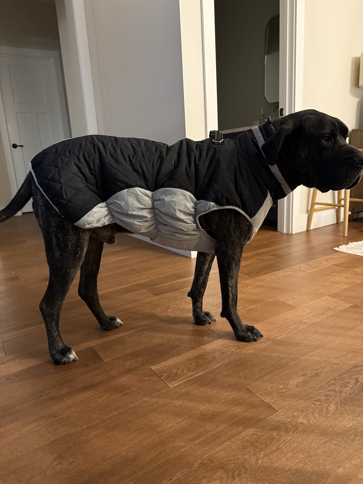 Lelepet Dog Coat Warm Dog Winter Coat Waterproof Dogs Jacket with Harness Built in Reflective Pet Fleece Vest Zip-Up Cold Weather Coats for Small Medium Large Dogs Turtleneck Windproof Blaze Orange L customer photo 2