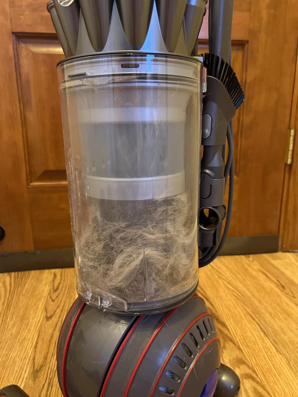 Dyson Ball Animal 3 Upright Vacuum, Corded, 290AW, De-tangling Motorbar Cleaner Head for All Floors, 3 Suction Modes customer photo 2
