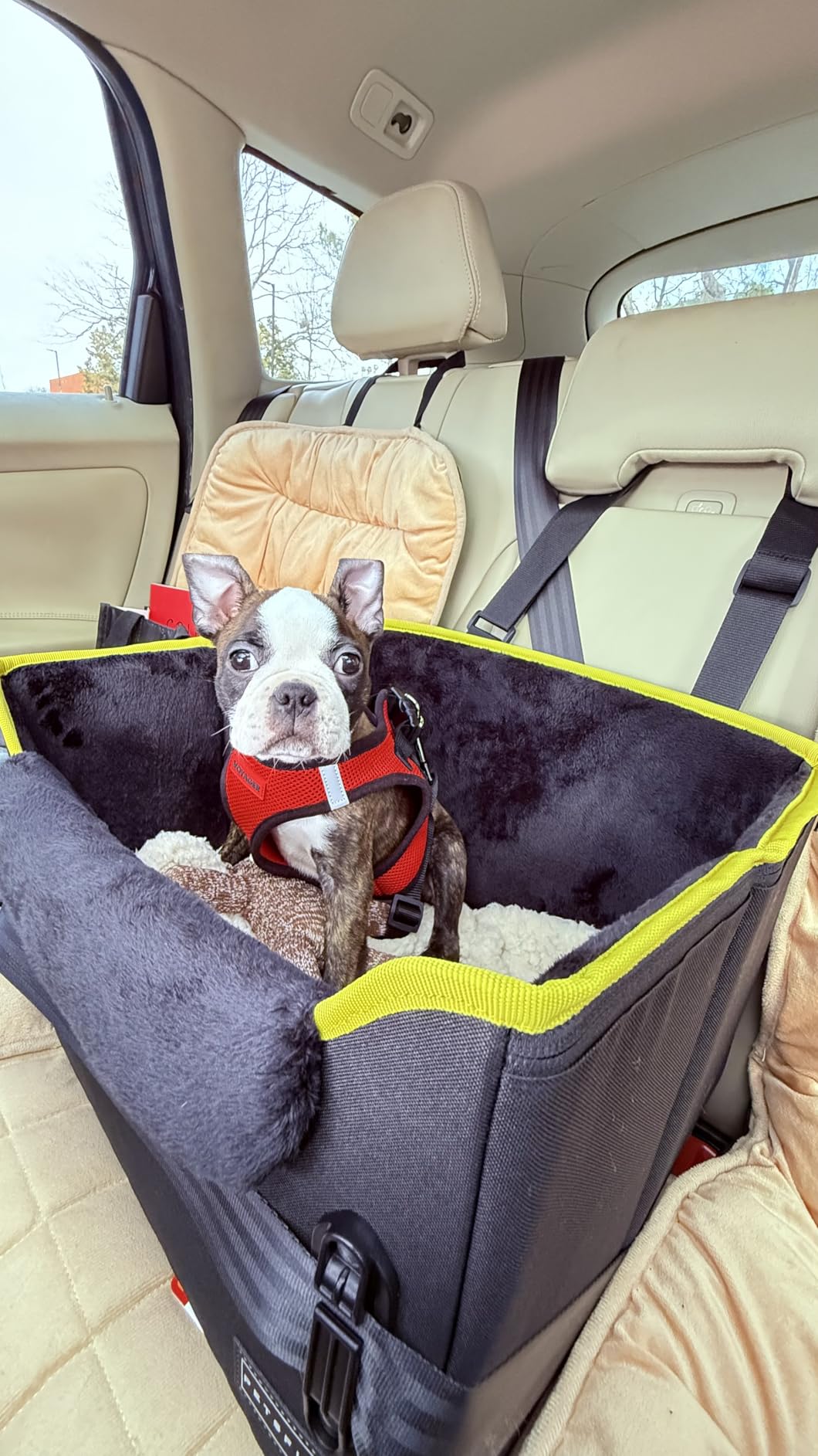 PETSFIT Dog Car Seats for Small Dogs - Patented Safety Buckles - Safety Tether - Foldable Travel Dog Booster Car Seat Reduces Anxiety & Road Trips - Stable Frame, Soft Cushion, Fits Front/Back Seat customer photo 1