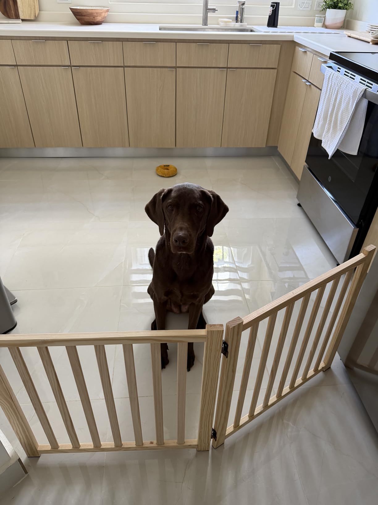 YOCAN Non-Painted Wood FreeStanding Pet Gate for Dogs,Wooden Dog Gates for Doorways, Stairs,The House, Dog Fences Indoor Puppy Gate-2 Panel H:23