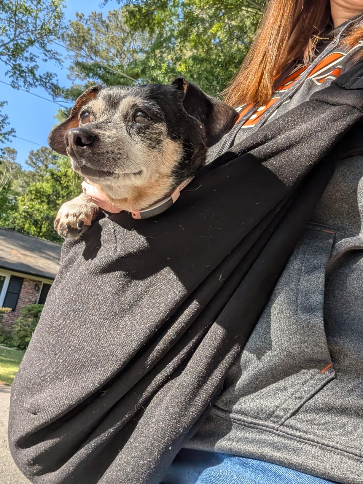 Tomkas Small Dog Sling Carrier - Classic Pocket & Classic Strap - Wrap Carrier - for 3-10 lbs Pets (Black) customer photo 2