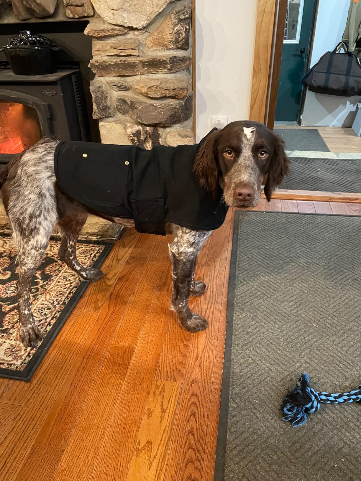 HDE Canvas Dog Vest Waterproof Jacket Cold Weather Coats for S-XL Dogs Duck Camo - M customer photo 1