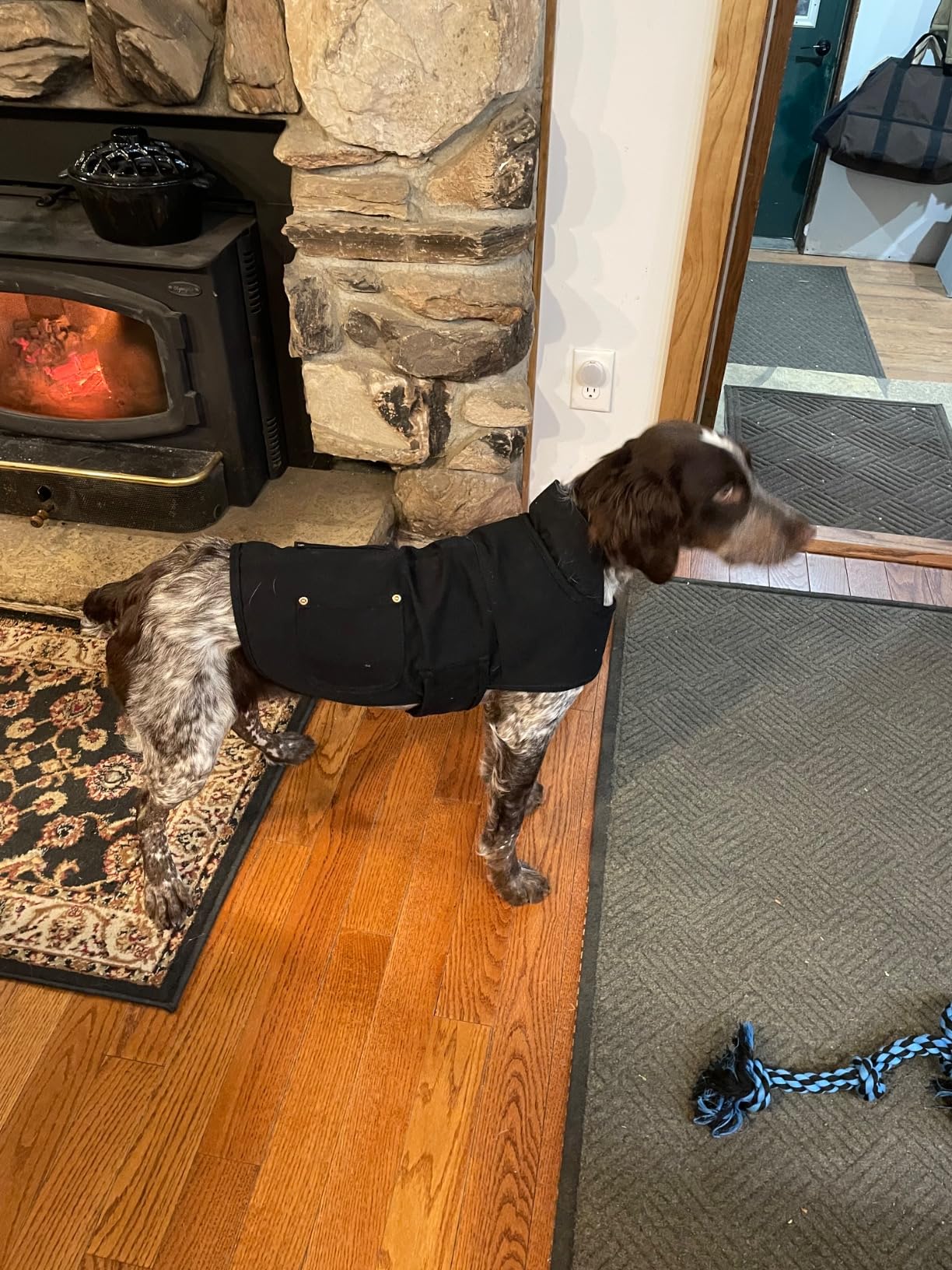 HDE Canvas Dog Vest Waterproof Jacket Cold Weather Coats for S-XL Dogs Duck Camo - M customer photo 2