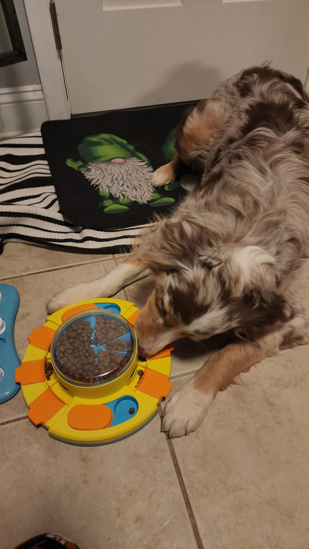 Potaroma Dog Puzzle Toy 2 Levels Slow Feeder Pup Food Treat Dispenser IQ Training customer photo 1