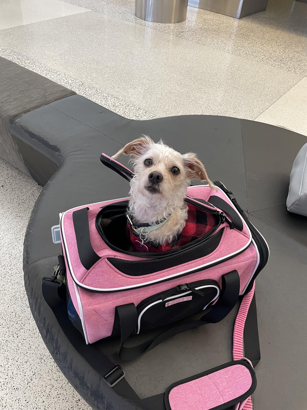 Petskd Top-Expandable Pet Carrier 18x11x11 Inches Delta American United Airline Approved, Soft-Sided Carrier for Small Cats and Dogs with Locking Safety Zippers and Anti-Scratch Mesh(Black) customer photo 1