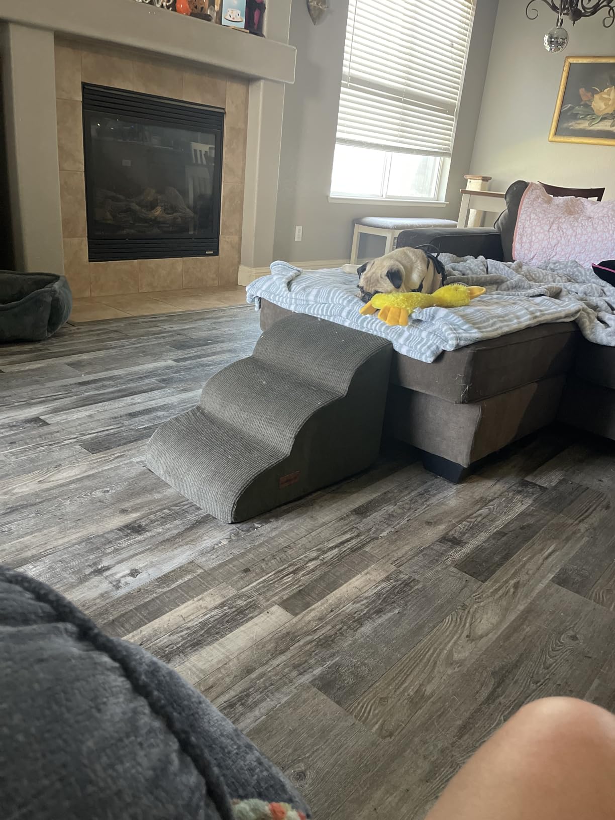 Aodisman 3-Step Dog Ramp and Stairs for Sofa and Chair customer photo 1