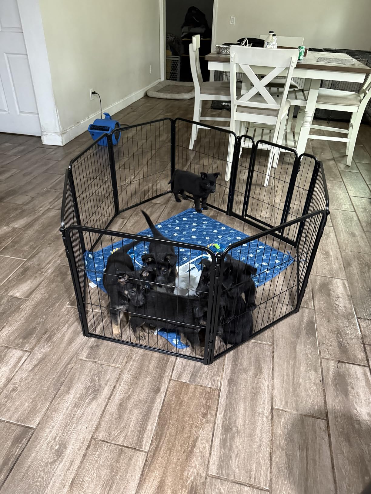 FXW Homeplus Unleashed Indoor Dog Playpen - Stress-Free and Safe Play, Heavy Duty 32 Inch 8 Panels Dog Pen for Small and Medium Dogs, Black - Patented customer photo 1