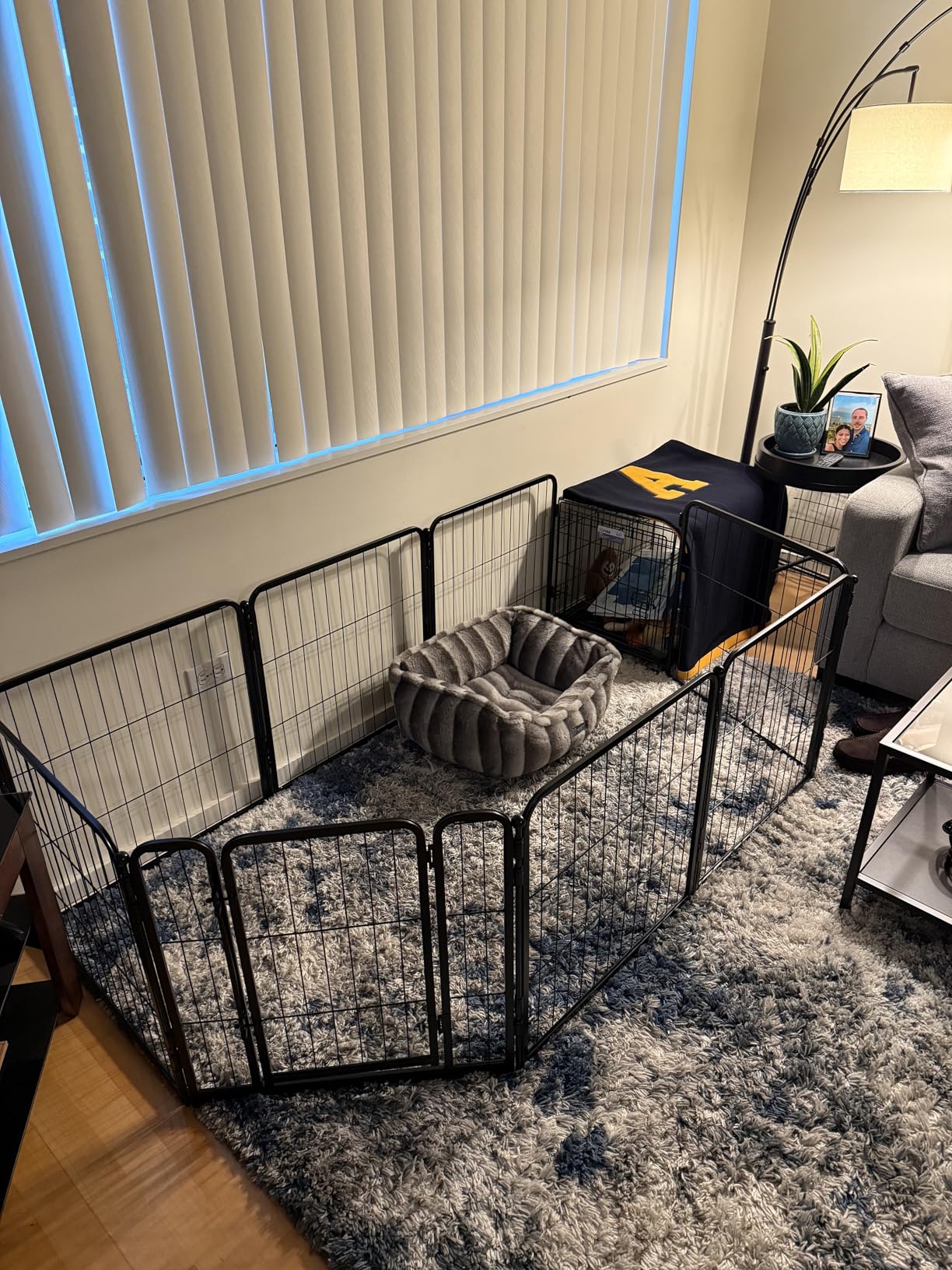 FXW Homeplus Unleashed Indoor Dog Playpen - Stress-Free and Safe Play, Heavy Duty 32 Inch 8 Panels Dog Pen for Small and Medium Dogs, Black - Patented customer photo 2