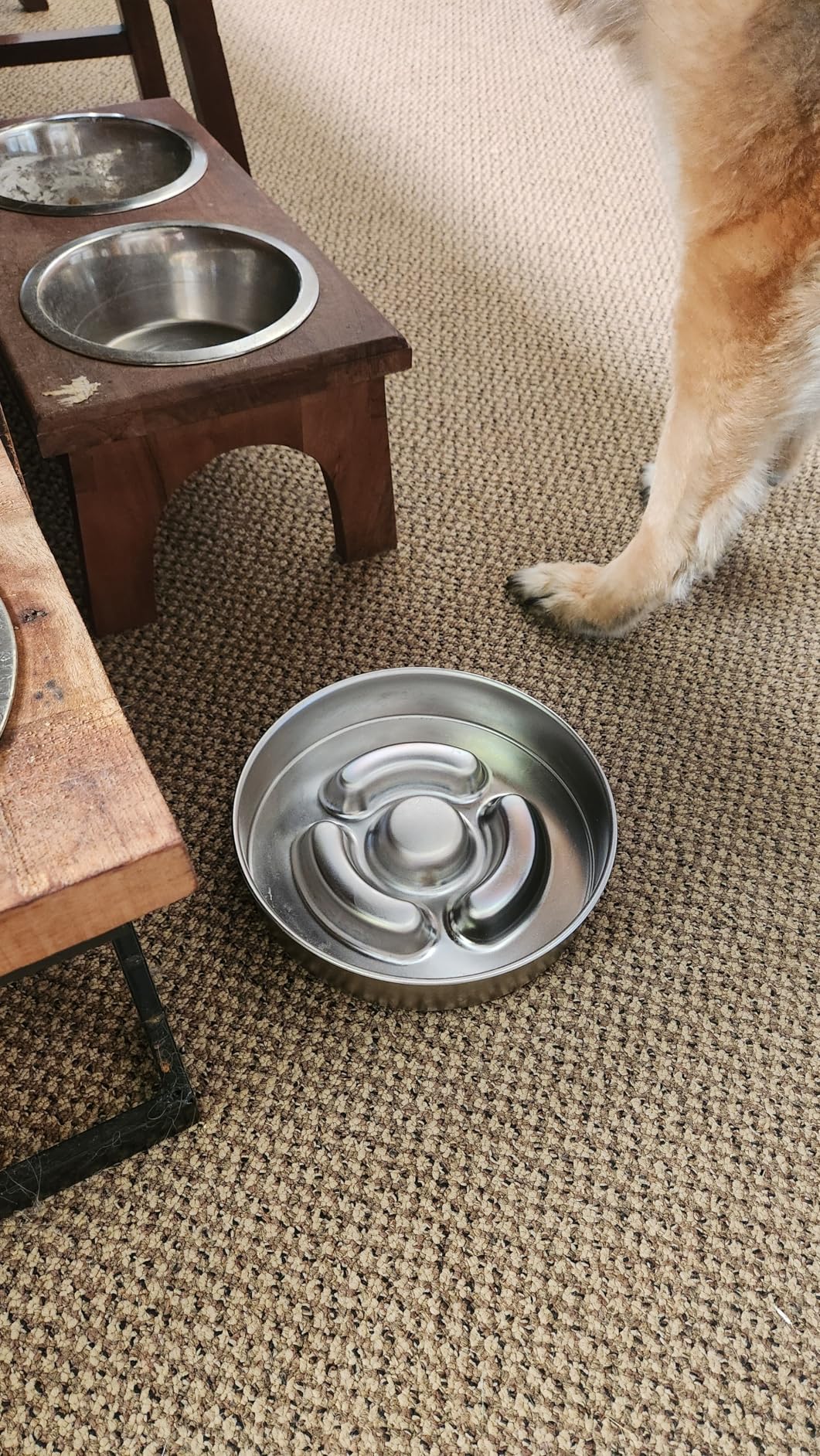AIPERRO Slow Feeder Dog Bowl Stainless Steel, 2 Cups Metal Non-Slip Dog Food Bowls, Dogs Water Bowl for Small & Medium Sized Dogs, Fun Bloat Stop Pet Bowl for Fast Eaters, Slows Down Pets Eating customer photo 1