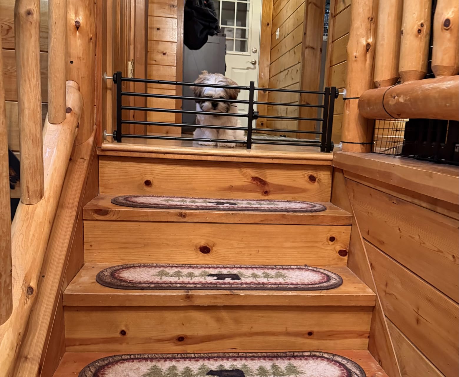 Malier Dog Gate with a Small Door, Extra Wide All Metal Short Dog Gate Pet Gate for Stairs, 10'' Tall Pressure Mount Easy Step Over Puppy Gate Low Gate for Doorways customer photo 1