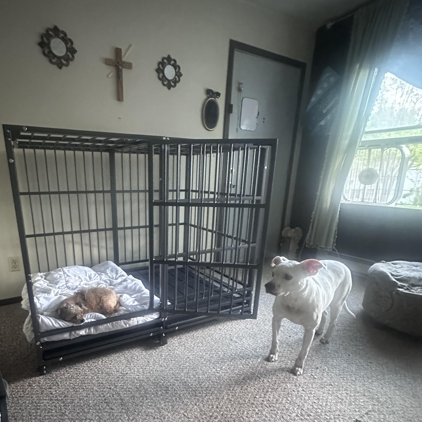 BOLDBONE 48 inch Heavy Duty Indestructible and Escape-Proof Dog Crate Cage Kennel for Large Dogs, High Anxiety Dog Crate with Removable Wire Trays and Wheels, Extra Large XL XXL, Black customer photo 1
