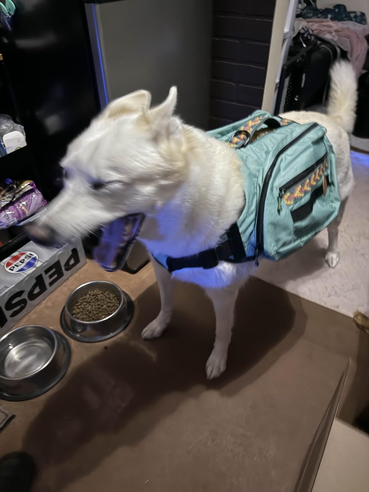 Wilderdog Dog Backpack with Built in Harness and Back-Mounted D-Ring Leash Attachment, Handle, Two Saddlebags with 4 Total Pockets, Built in Poop Bag Dispenser (Huckleberry, Large) customer photo 1