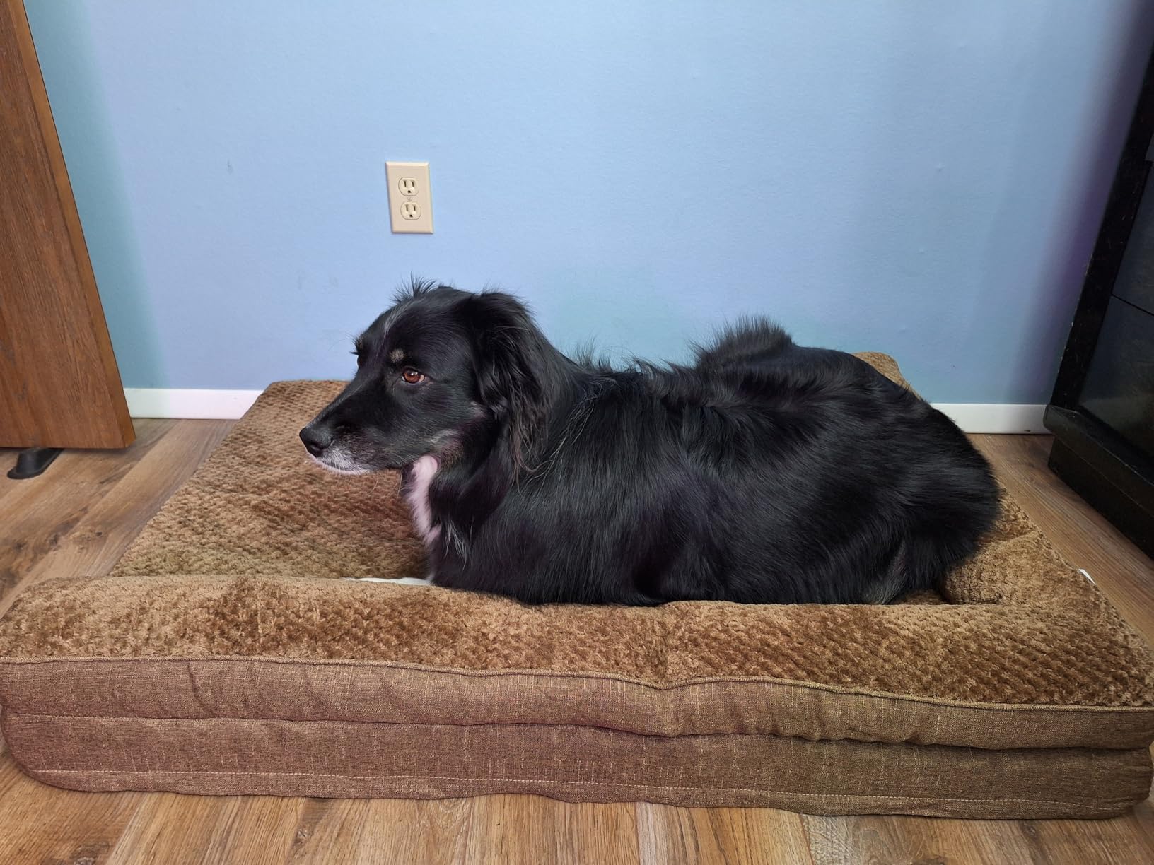 EHEYCIGA Orthopedic Dog Bed Medium Size, Memory Foam Dog Bed, Grey | Small Dog Sofa with Washable Removable Cover, Waterproof Pet Couch for Crate with Nonskid Bottom, 30x20x6 customer photo 1