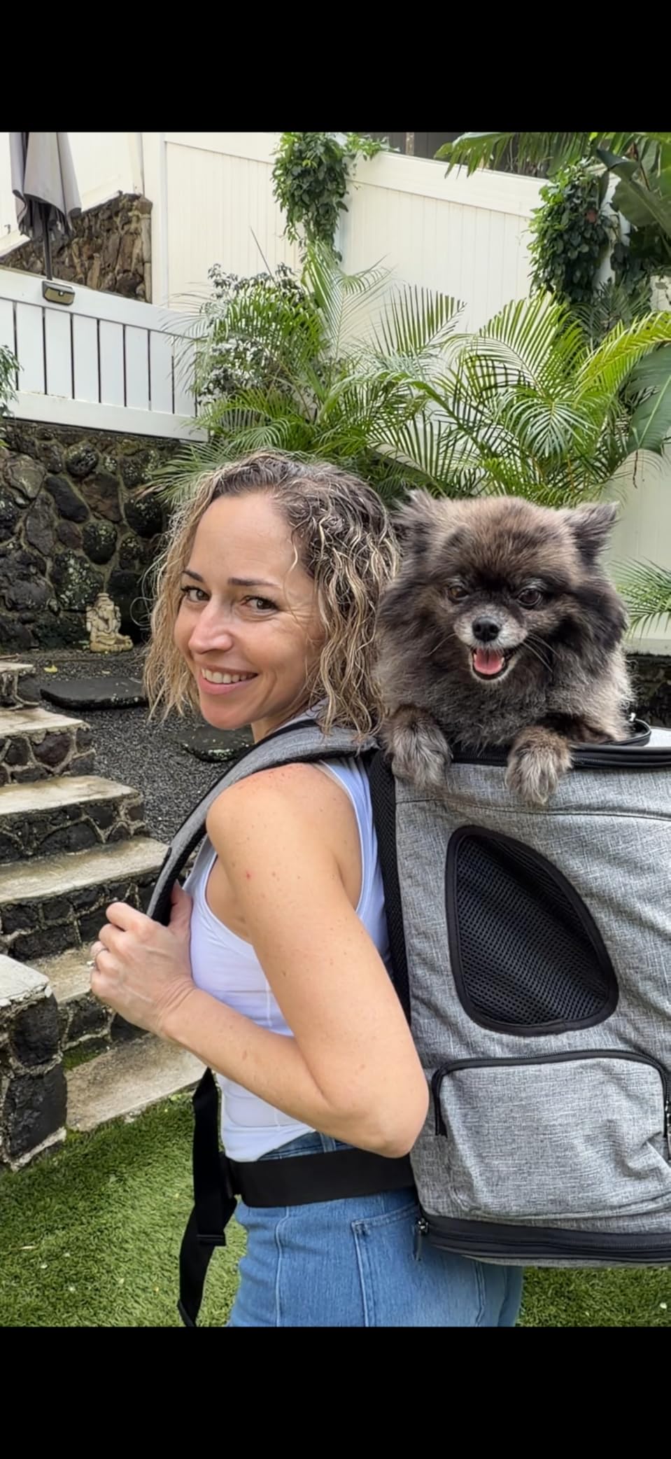 Petsfit Pet Backpack Carrier with Upgrade Waist Cushion Design to Better Fit The Waist, Suitable for Small and Medium Dogs Cats up to 18 Pounds customer photo 2