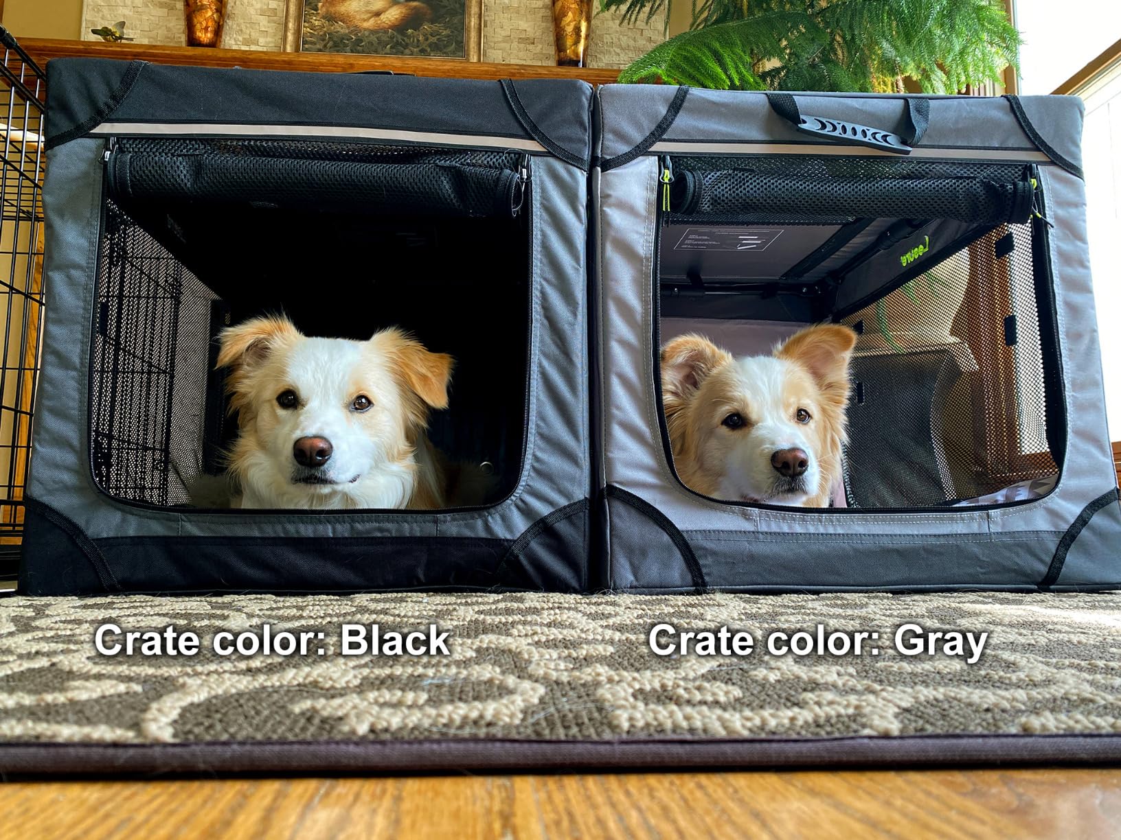 Lesure Shown on TODAY Show Soft Collapsible Dog Crate - 42 Inch Portable Travel Crate for Extra Large Dogs Indoor & Outdoor, 4-Door Foldable Pet Kennel with Mesh Windows, Black customer photo 2