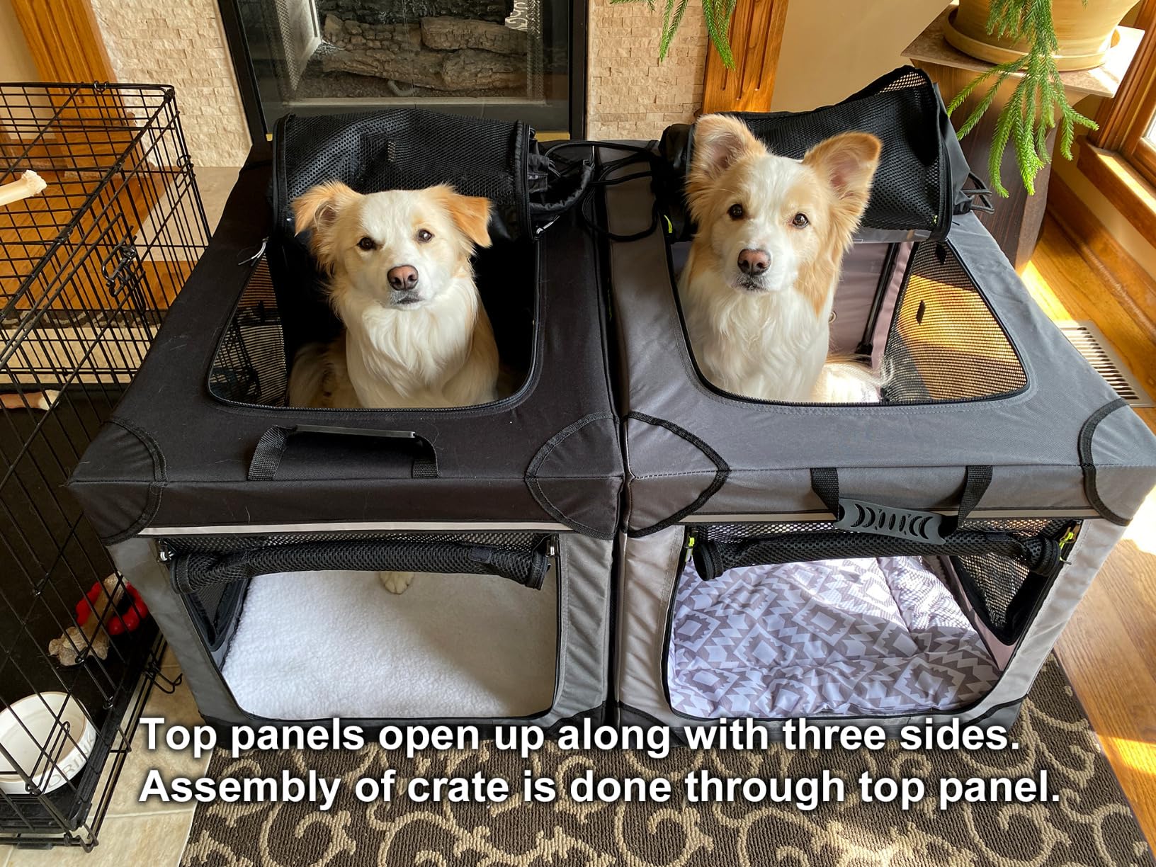Lesure Today Show Soft Collapsible Dog Crates for Large Dogs, 36in Black | Portable travel camping pet kennel, 4-door, Indoor and outdoor use, Easy to set up and fold, For large breeds up to 70 lbs customer photo 1