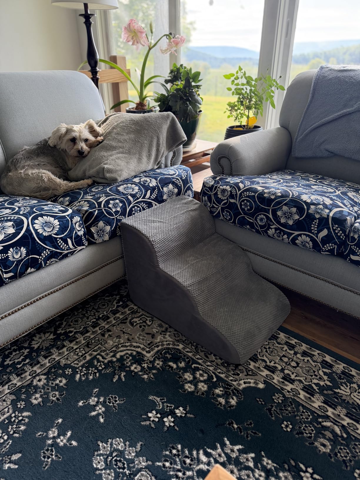 Chic Threads Dog Stairs for Small Dogs, 3-Step Dog Stairs for High Beds and Couch customer photo 1