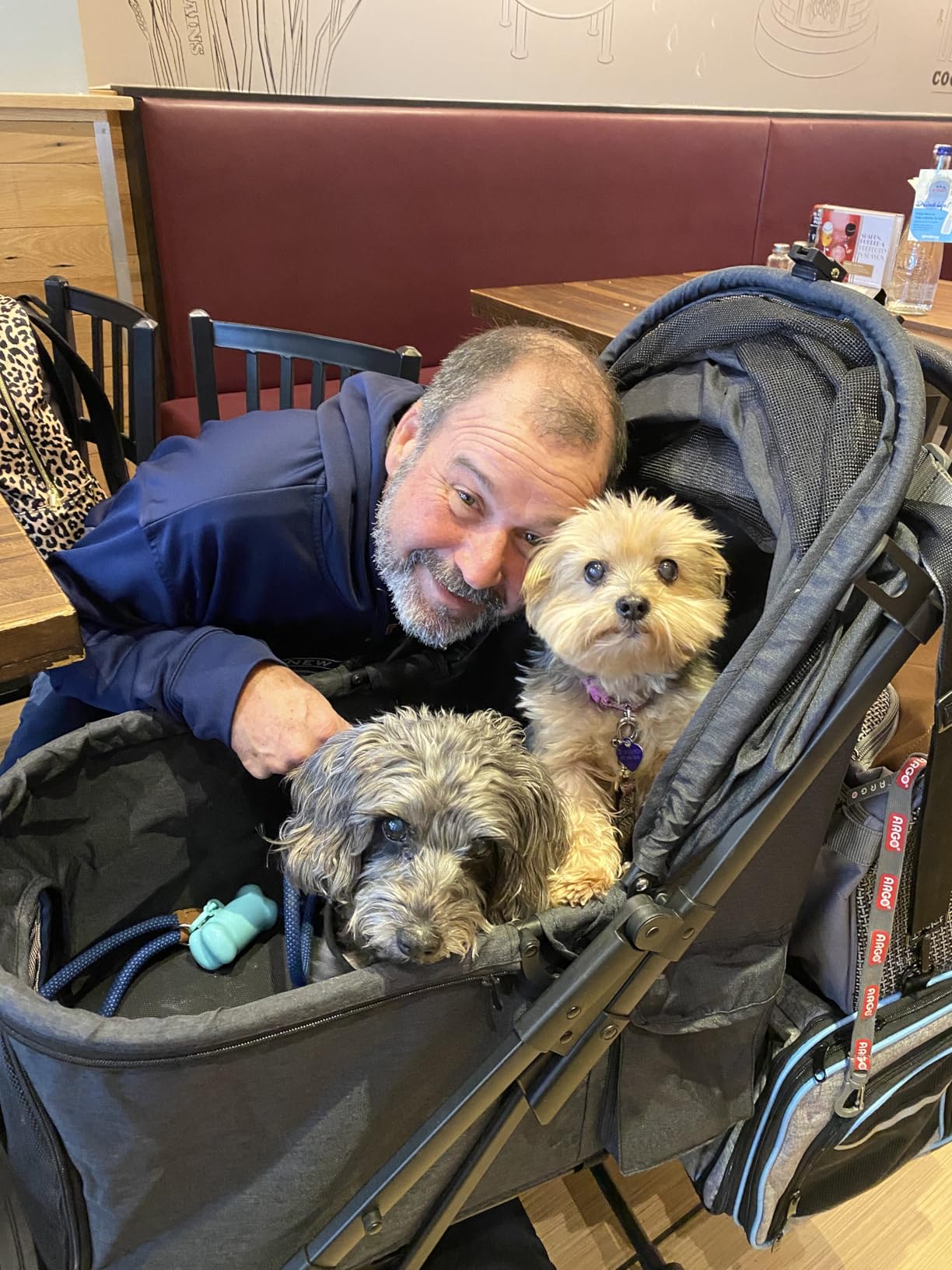 Kenyone Pet Stroller for Medium Dogs Up to 55lbs, Lightweight Aluminum Frame, One Click Folding, Large Cat Stroller with No Zip Entry, Detachable Mesh, Multiple Pockets customer photo 1