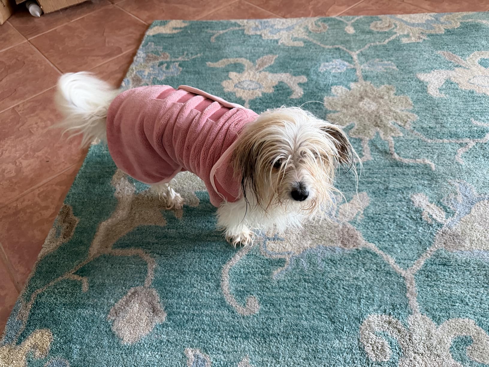 Lucky Pooch Dog Robe - Luxurious Dog Bathrobe - Ultra Absorbent Dries Your Dogs in Minutes! Double-Layer, Super Soft Towel and Bath Robe All in One (XL, French Navy) customer photo 1