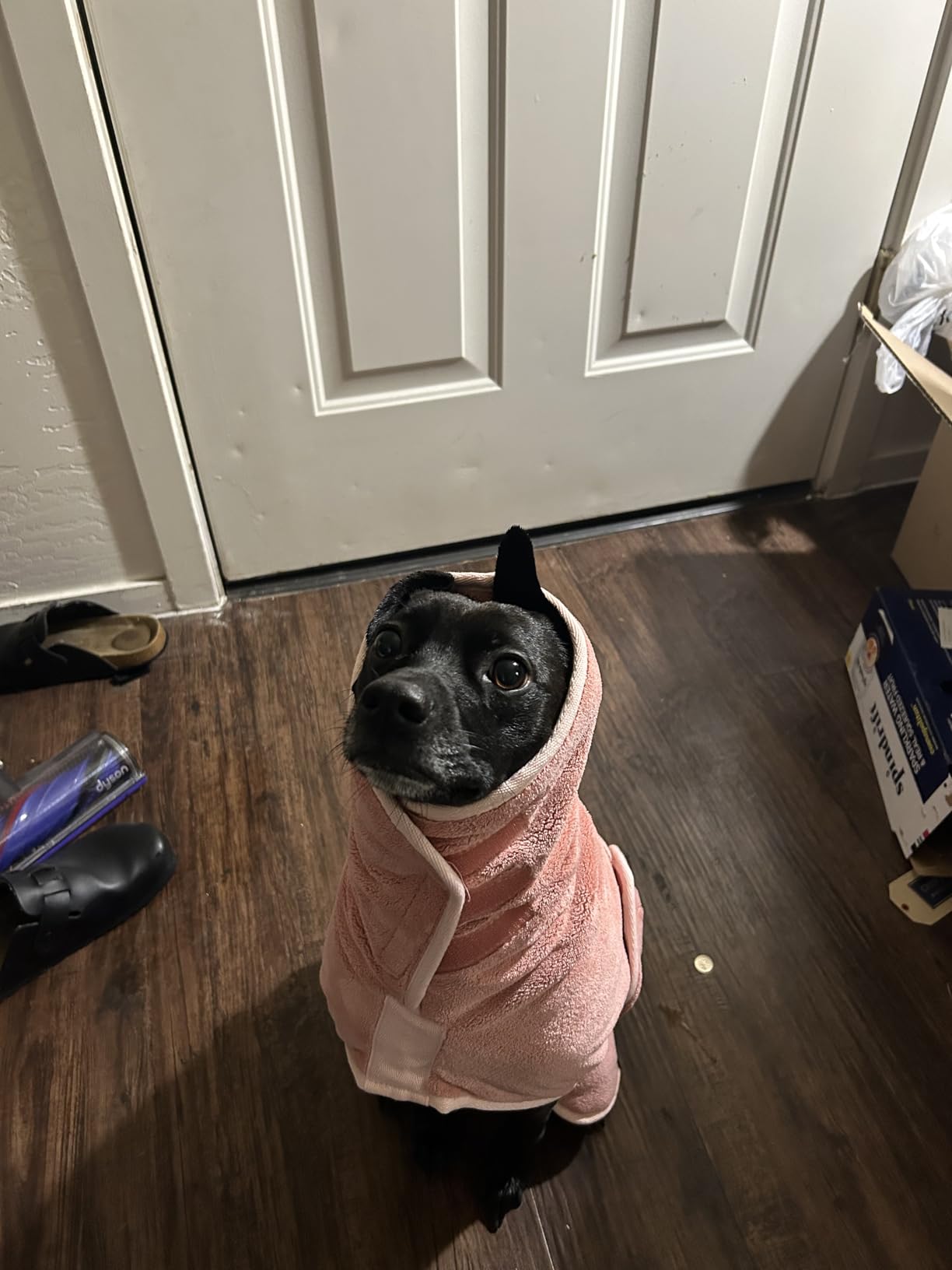Lucky Pooch Dog Robe - Luxurious Dog Bathrobe - Ultra Absorbent Dries Your Dogs in Minutes! Double-Layer, Super Soft Towel and Bath Robe All in One (XL, French Navy) customer photo 2