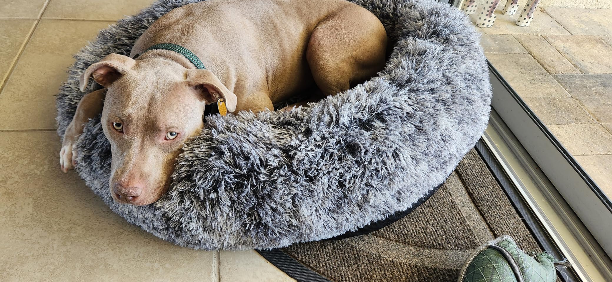 JOLLYVOGUE Small Dog Bed, Calming Soft Anti-Anxiety Donut Cat Bed, Washable Round Fluffy Cushion for Small and Medium Pets (20