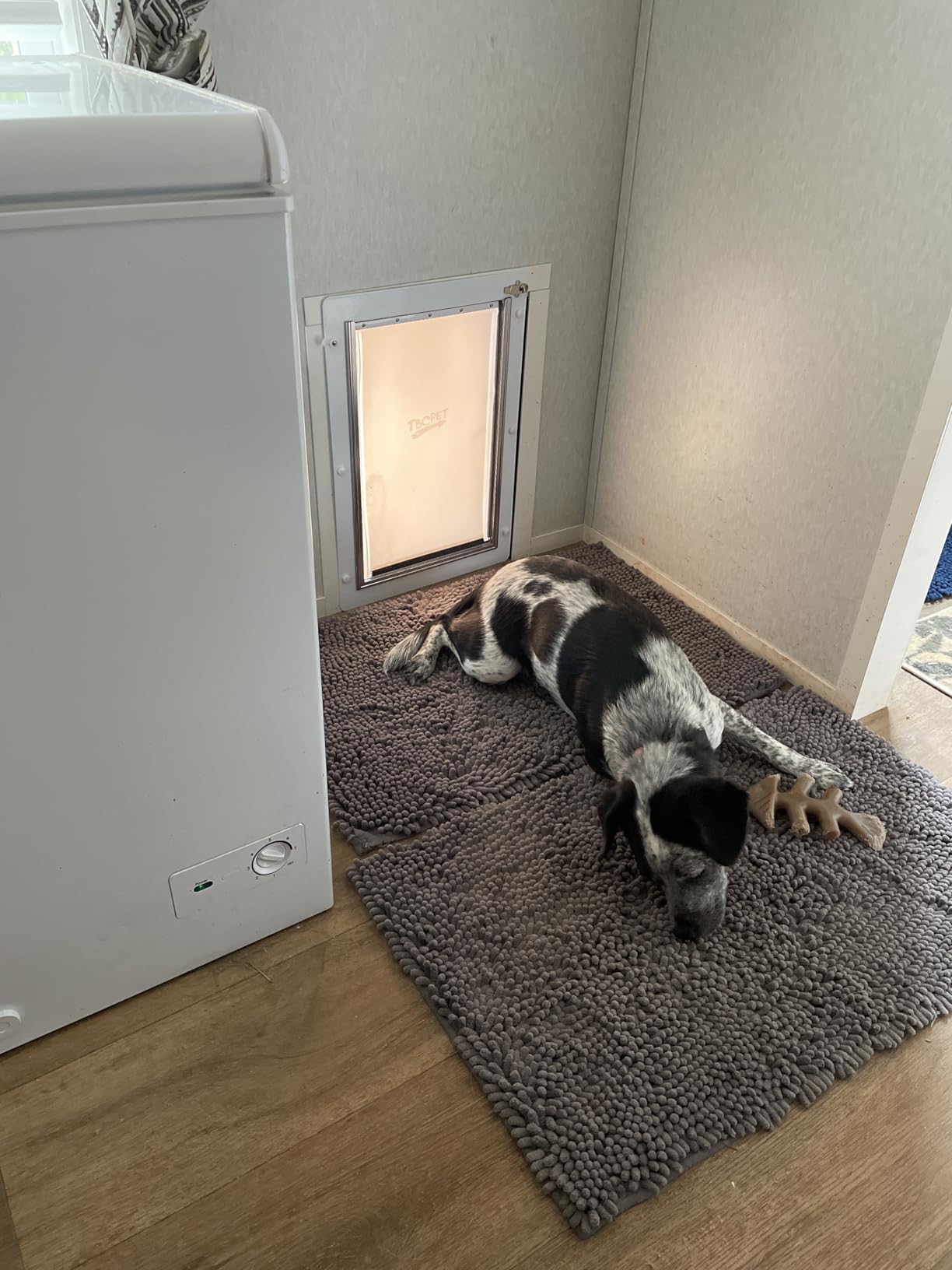 Pet Door for Wall - Steel Frame, Telescoping Tunnel & Double Silicone Flaps Dog Door, Cat Doors with Secure Lock (Cat Up to 10 lbs) - Small customer photo 1