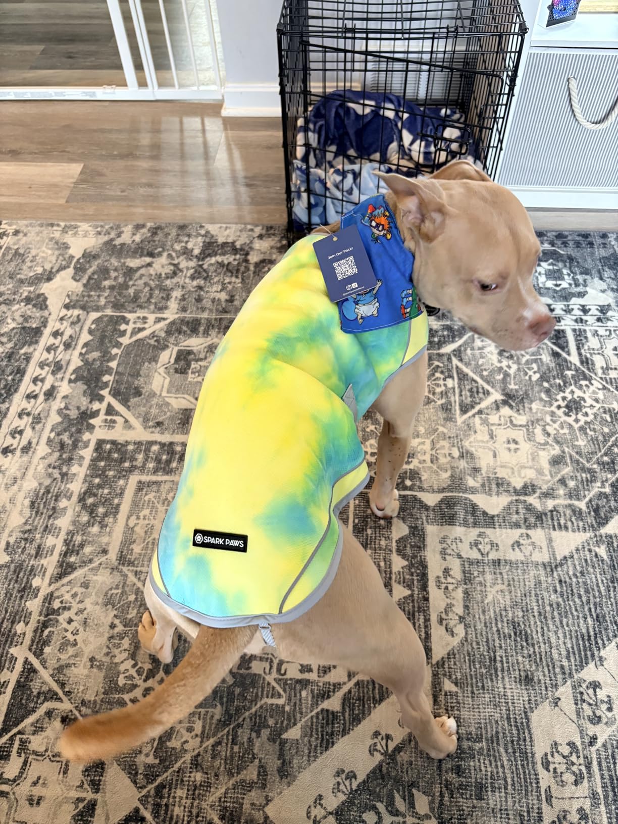Spark Paws Dog Cooling Vest - SPF 50 UV Sun Protection - Summer Heat Relief Gear for Dogs, Lightweight, Evaporative Cooling - Dog Anxiety Relief Vest During Hot Days - Snowcone, Small customer photo 2