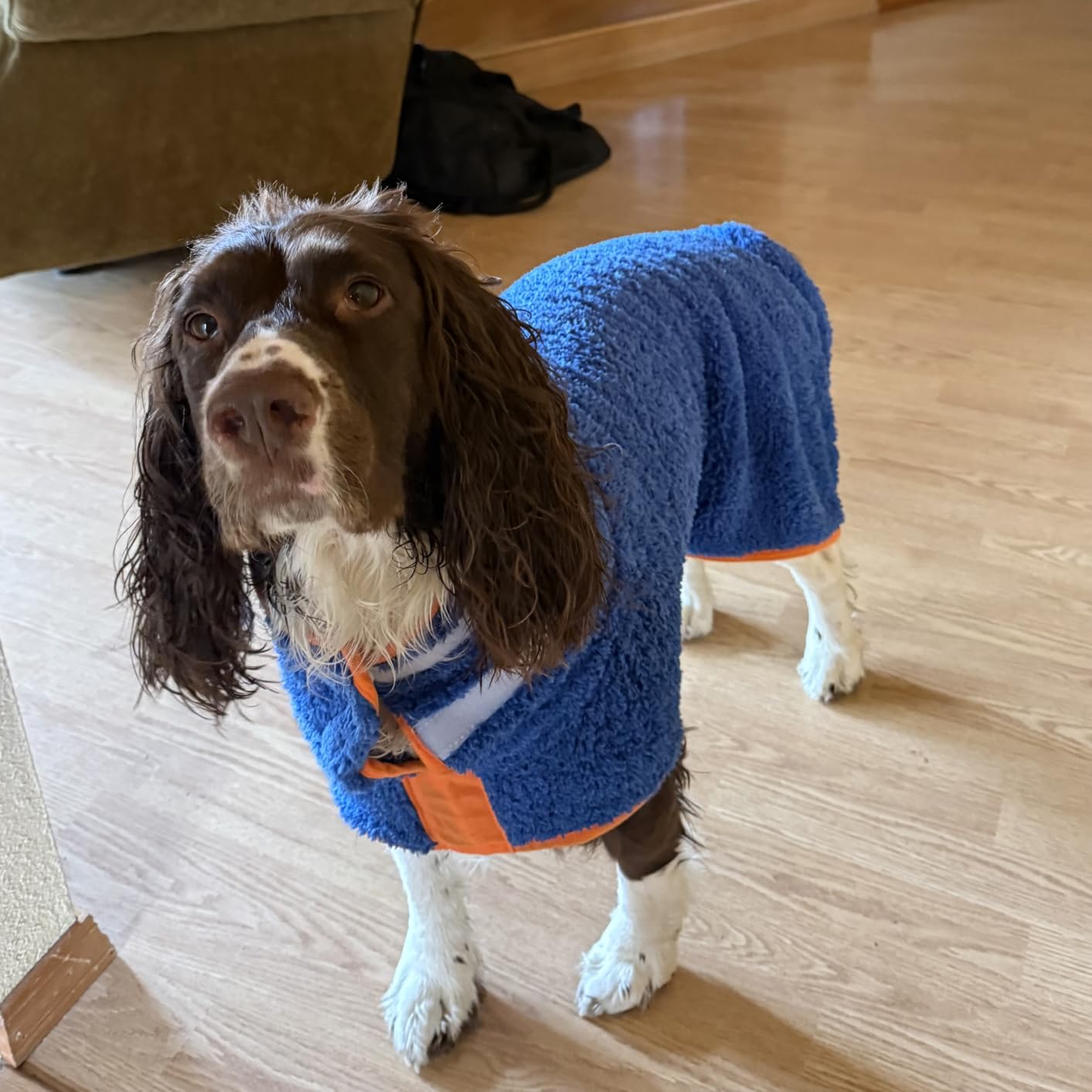 Bienbee Dog Bathrobe, Quick Drying Super Absorbent Pet Robes for Small Medium Large Dogs, Drying Coat for After Bath & Swim, Warm & Cozy Dogs Towels, Dog Puppy Bath Supplies, Dark Blue XL customer photo 1