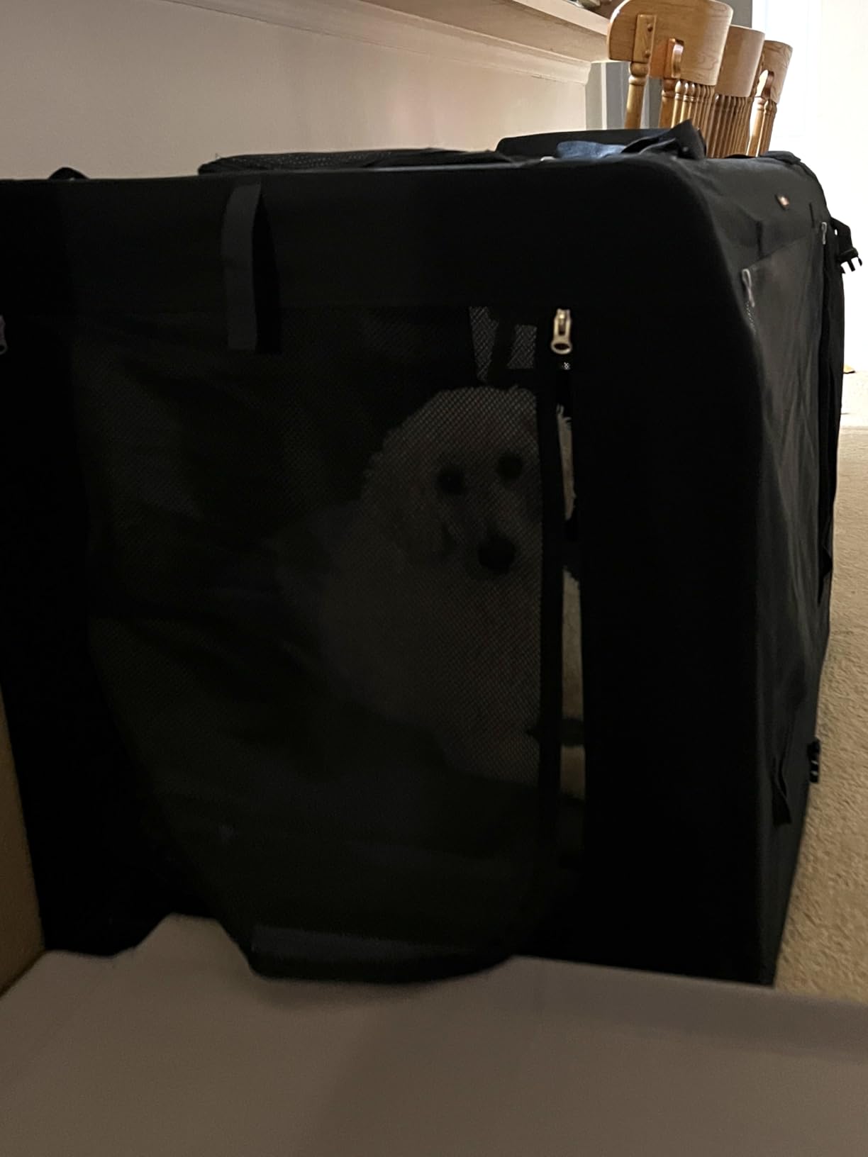Feandrea 48 Inches Collapsible Soft Dog Crate, Portable Travel Dog Crate for Indoor and Outdoor Use, Dog Carrier Kennel with Safety Zippers, for Living Room, Car, Travelling, Camping, Black UPDC12H customer photo 2