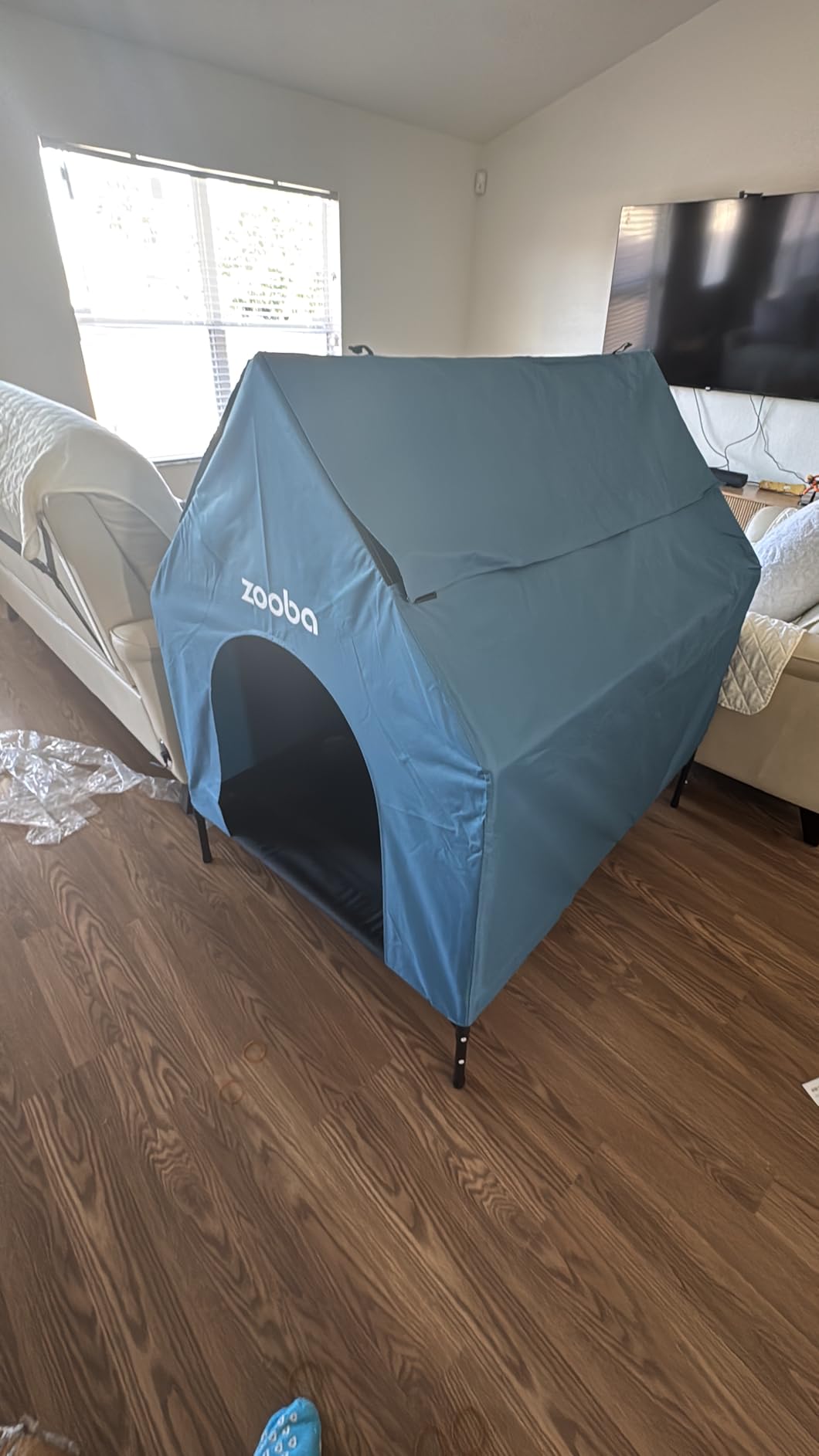 Zooba 36