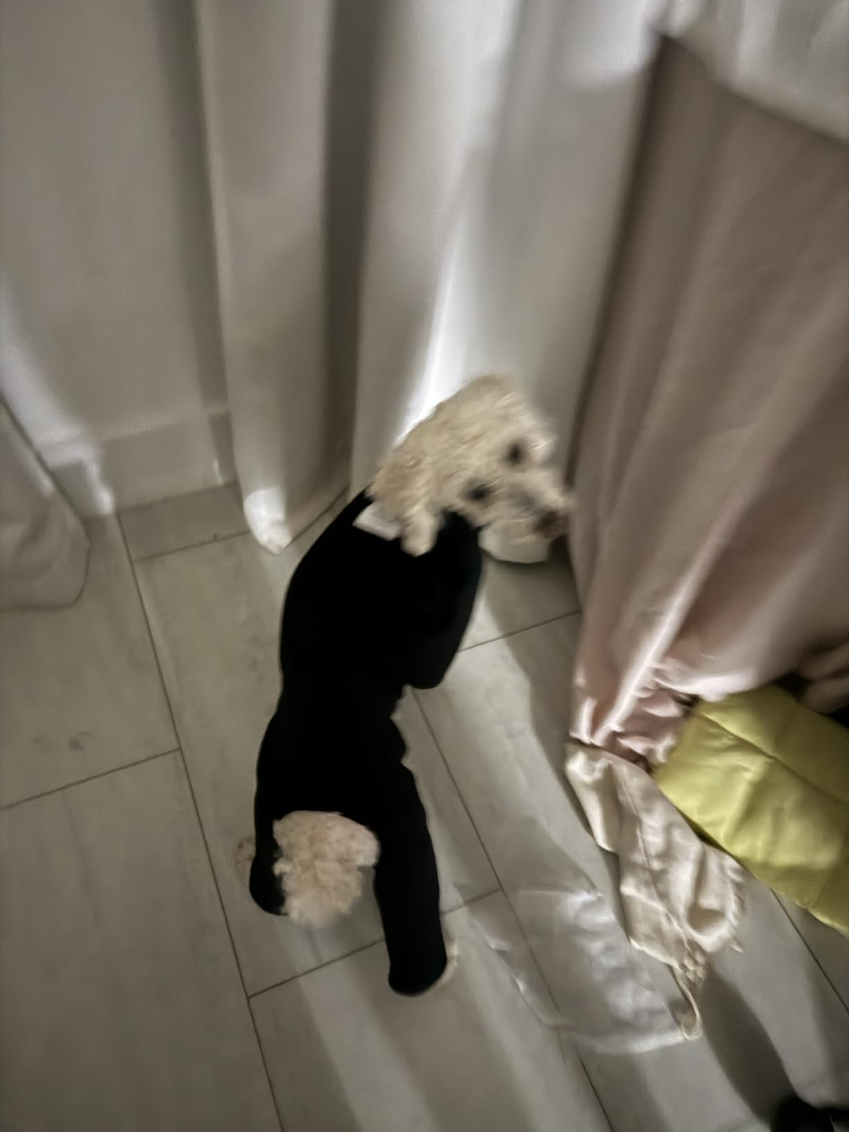 D Doggy Star Italian Greyhound Clothes Sweater Fleece Basic Onesie Whippet for Dog Turtleneck Outfits Coat - L, FLCE Charcoal customer photo 2
