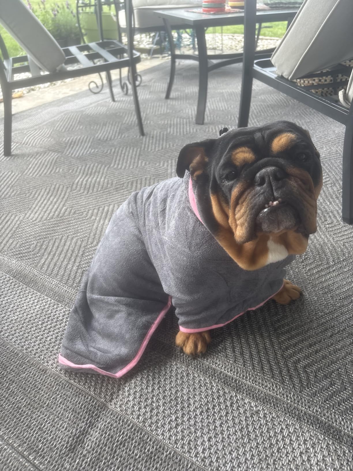 Microfibre Dog Bathrobe Towel Wrap Super Absorbent Dog Drying Coat Bath Robe for Puppy, Medium & Large Dogs, Fast Drying, Adjustable customer photo 2