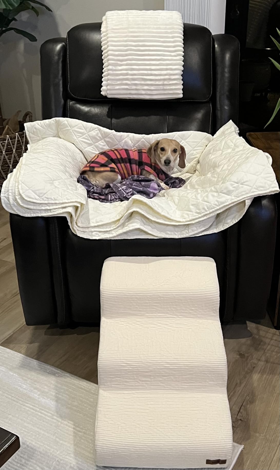 LE SURE Dog Stairs for Small Dogs Pet Steps Ramp for High Bed and Couch customer photo 2