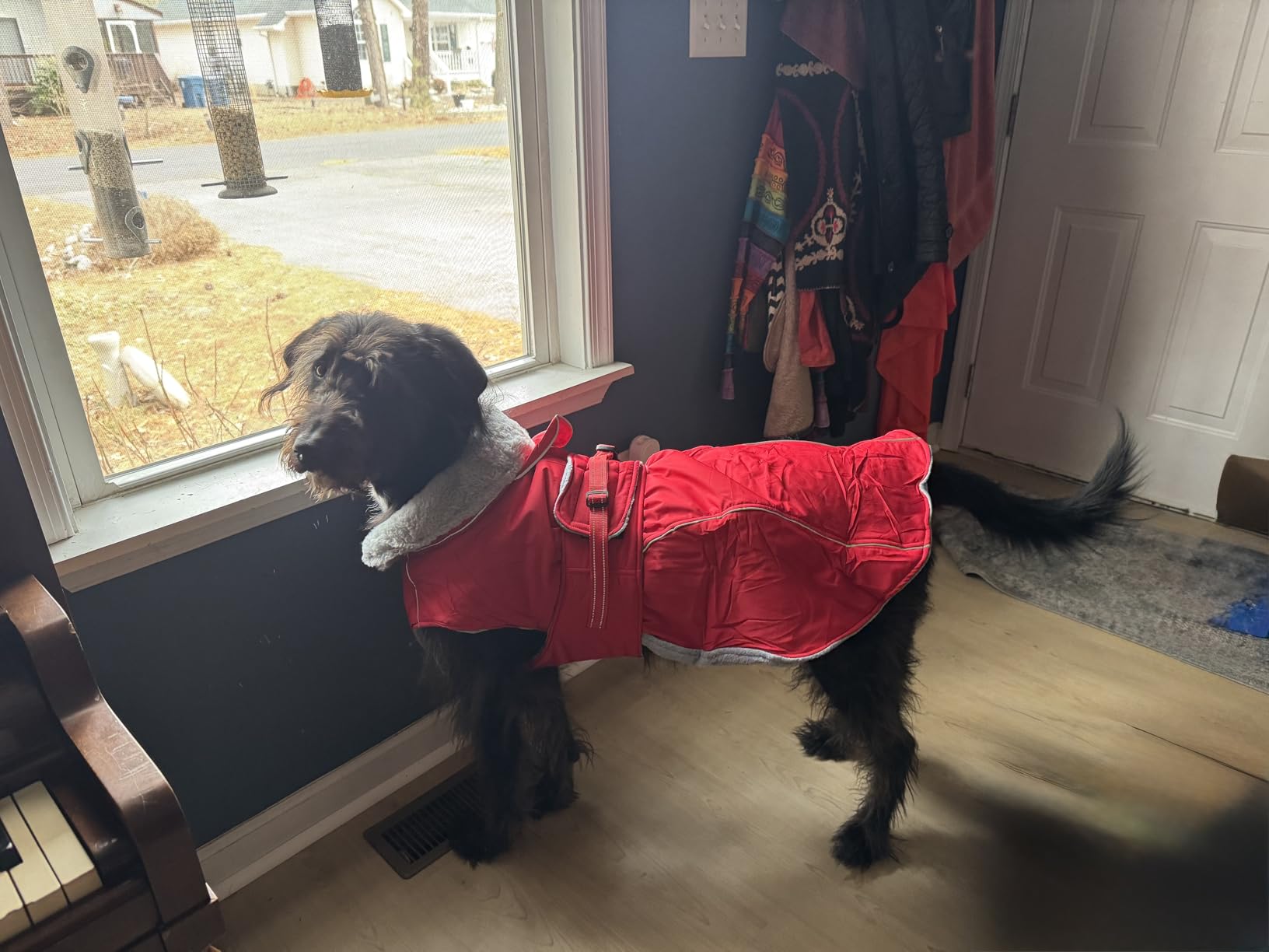 Lelepet Dog Coat Waterproof Dog Jacket Reflective Fleece Vest with Adjustable Buckle & Leash Hole Windproof Cold Weather Coats for Small Medium Large Dogs, Warm Hunting Vest, Orange, M customer photo 1