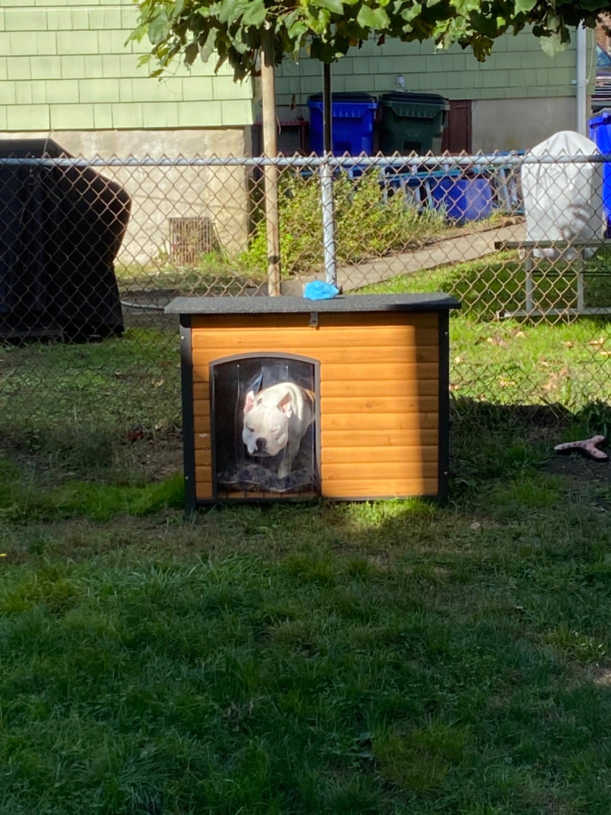 Aivituvin Heated Dog House Outdoor & Indoor Dog Kennel with Insulated Liner & Heating System for Winter Waterproof Large Dog Cage for Small & Medium & Large Dogs,Unique All-Around Iron Frame customer photo 2