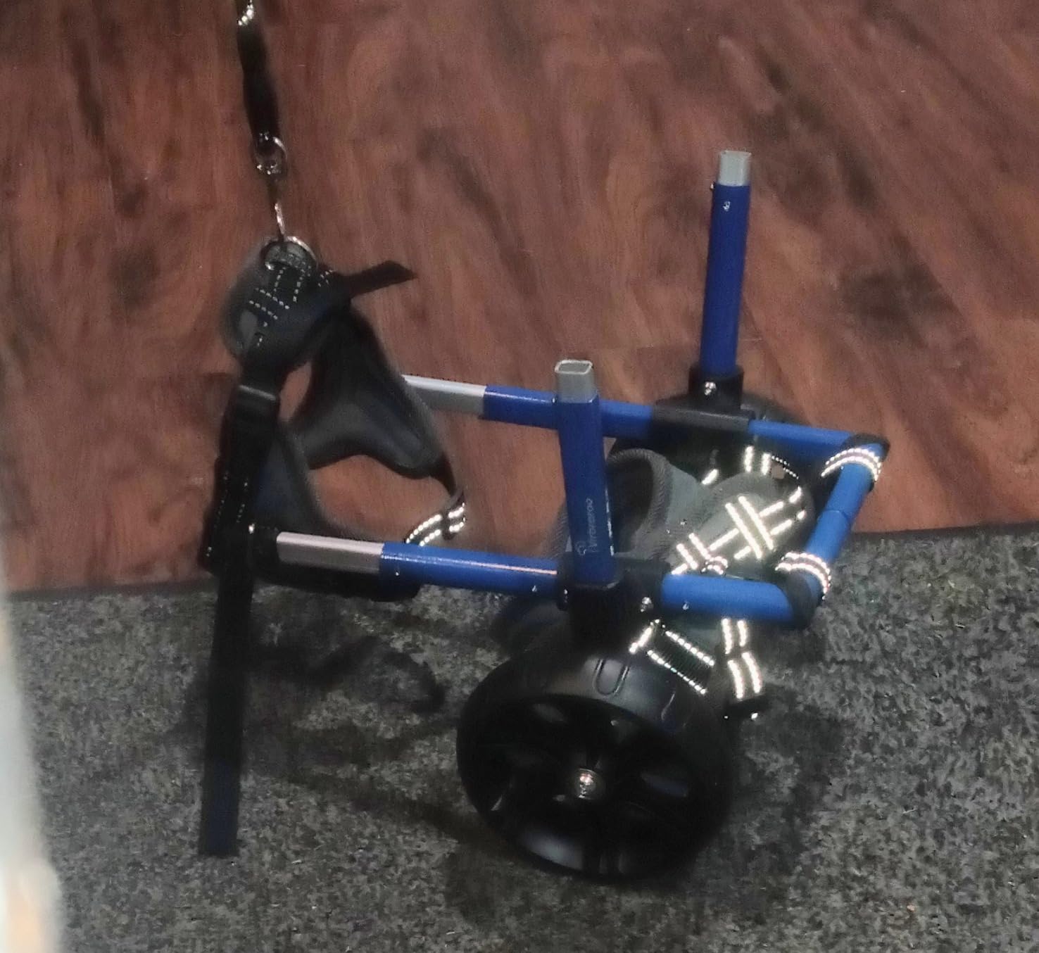 Dog Wheelchair for Back Legs with Upgraded All-Terrain Tires & Durable Bearings,Adjustable Dog Wheelchair for 9